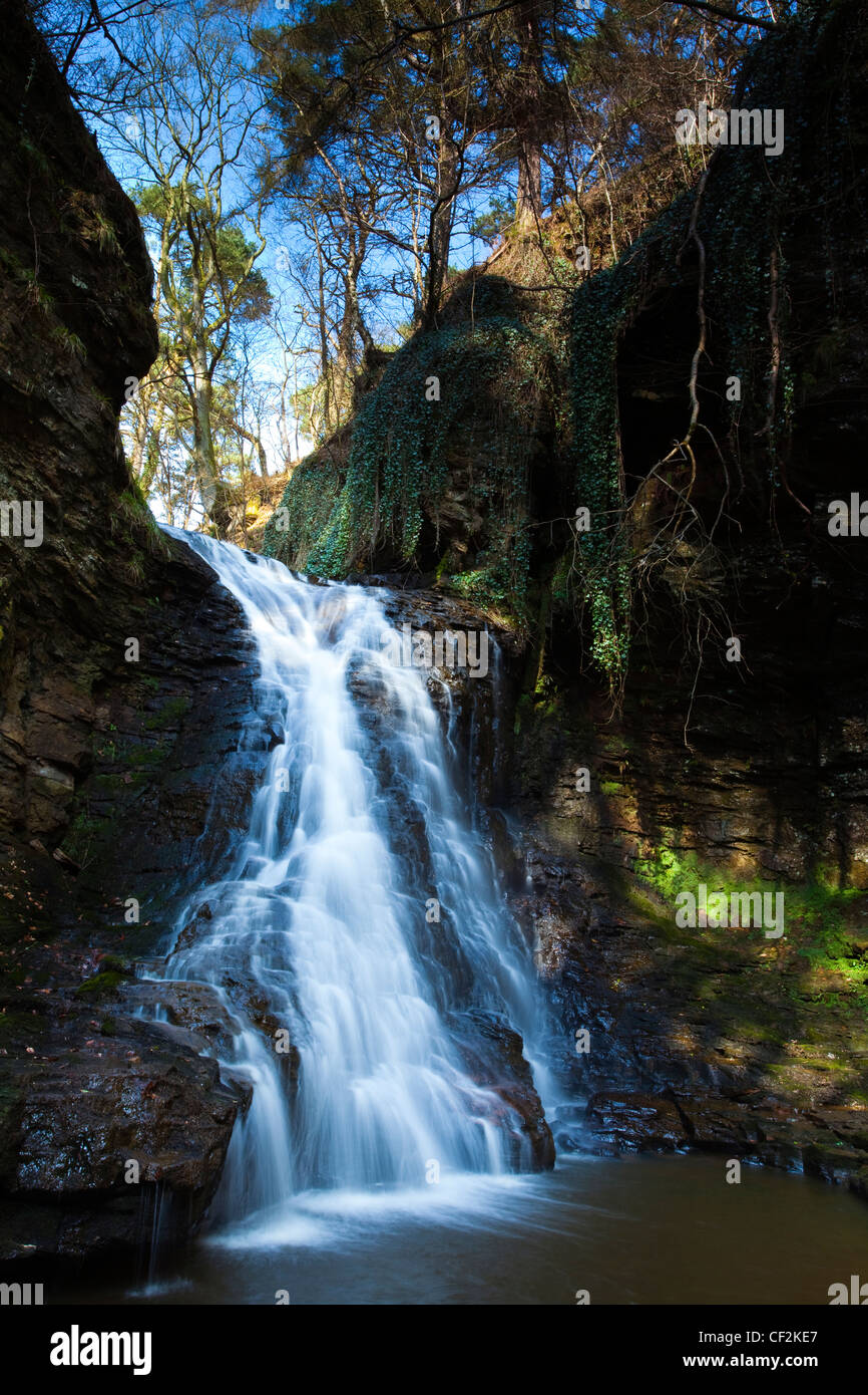 Hareshaw Linn è una spettacolare cascata che si trova in una ripida gola unilaterale, che continua a fluire attraverso una valle boscosa. Haresh Foto Stock