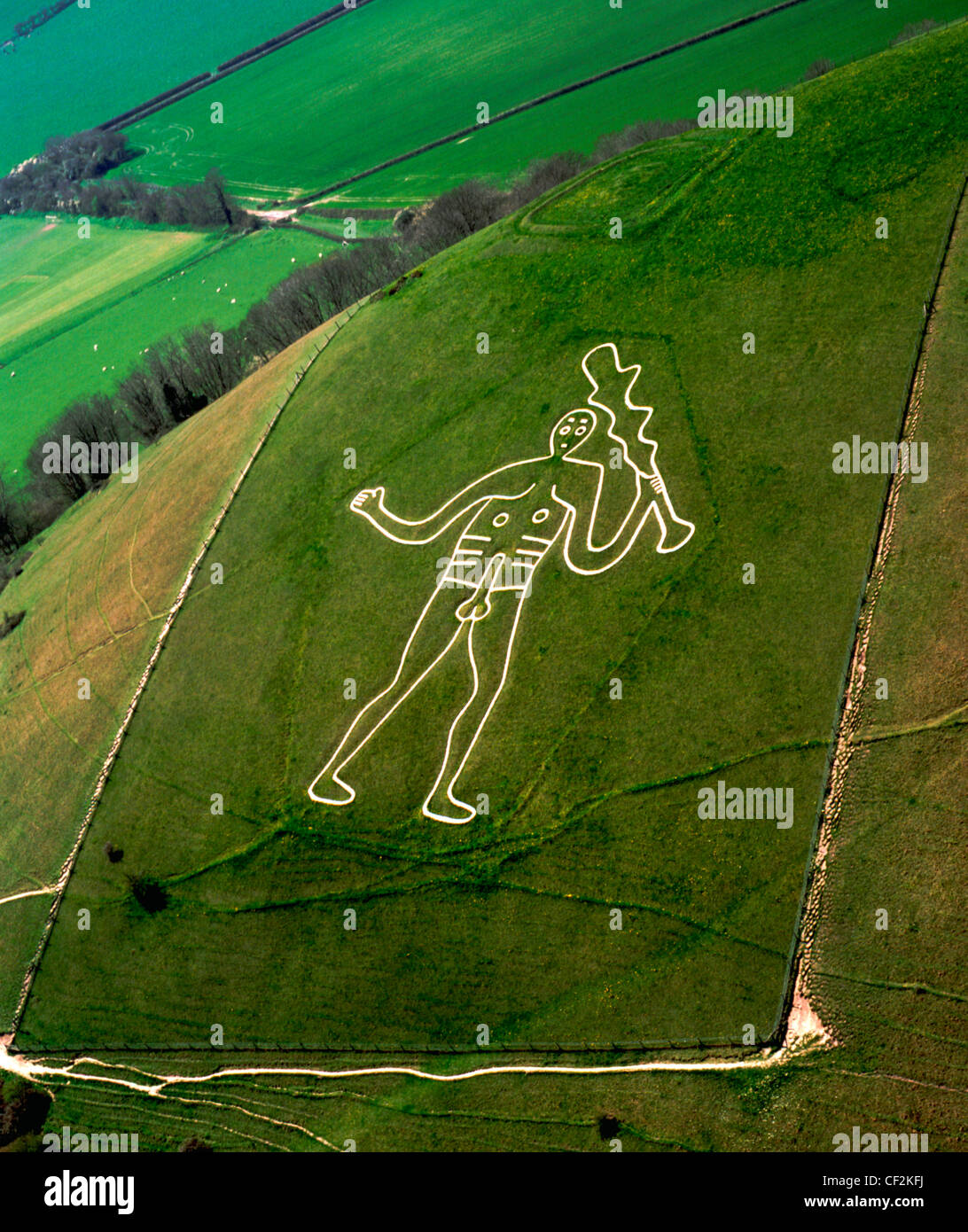 Una veduta aerea del famoso Cerne Abbas Giant, una collina la figura a cui spesso viene fatto riferimento come maleducato uomo o il Rude gigante. Vi è molto spe Foto Stock