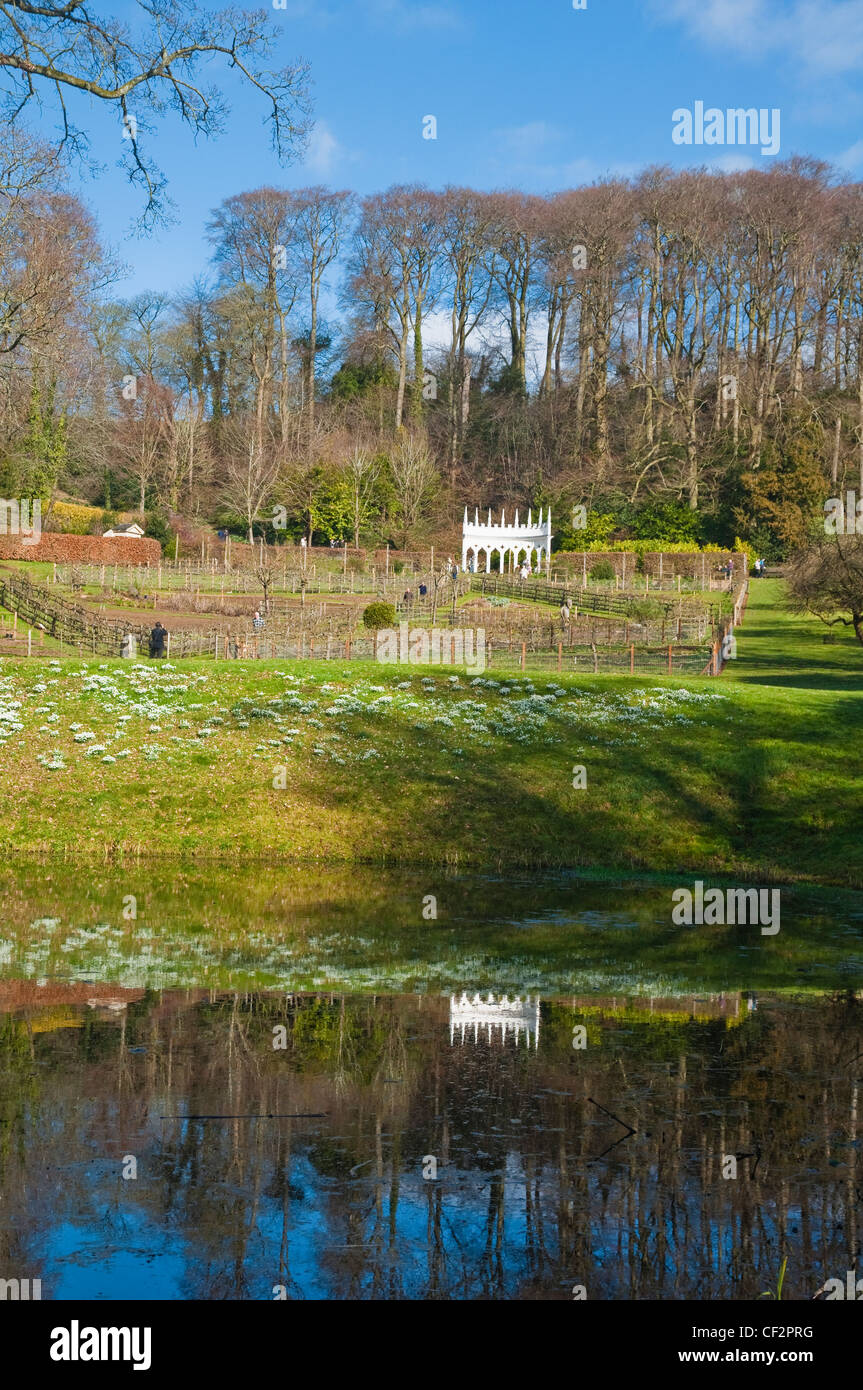 Painswick Giardino rococò su una soleggiata giornata invernale con l'Esedra Garden includono e banche di bucaneve riflessa nel lago. Regno Unito. Foto Stock