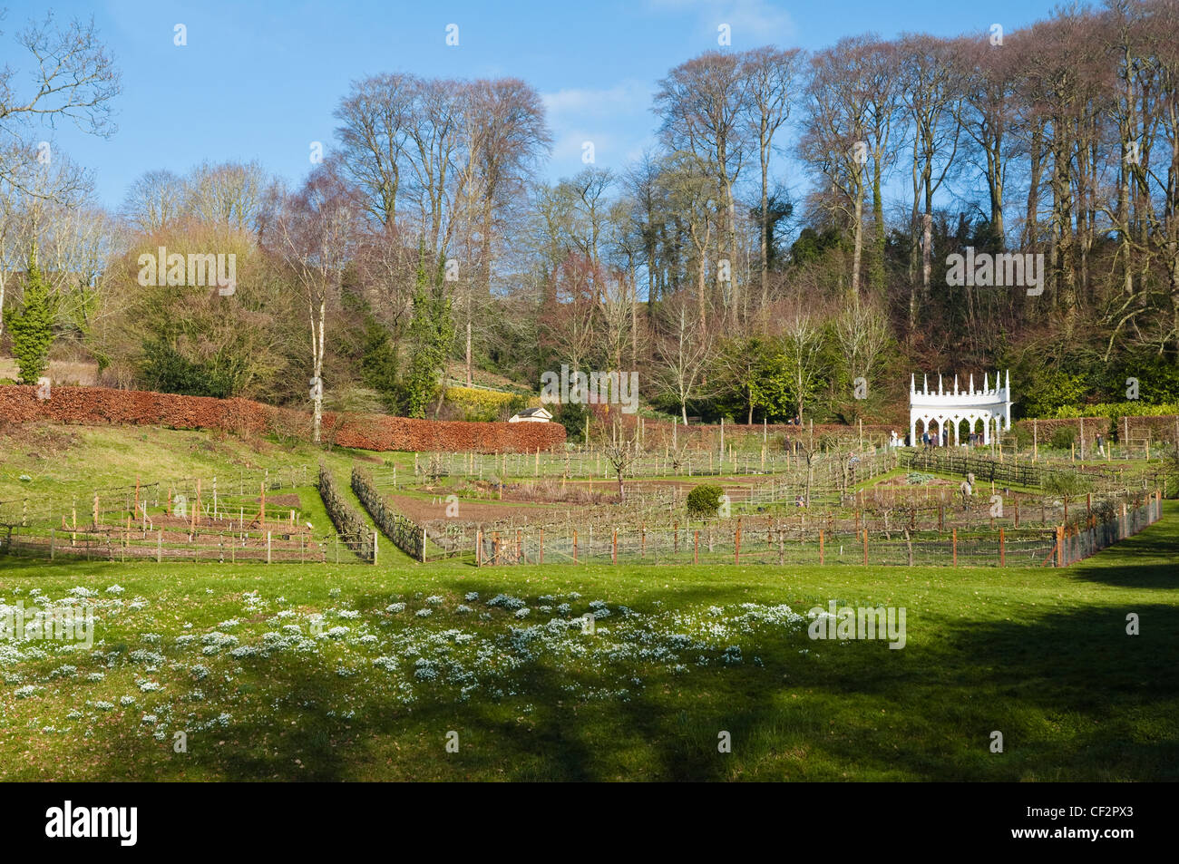 Painswick Giardino rococò su una soleggiata giornata invernale con l'esedra e banche di bucaneve, in primo piano. Regno Unito. Foto Stock