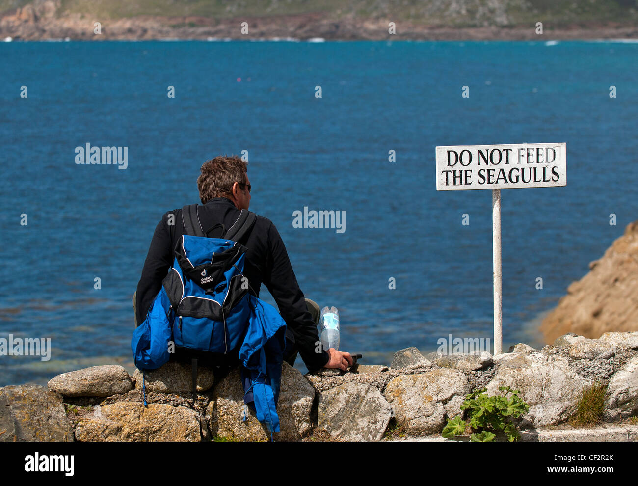 Un uomo seduto su un muro accanto ad un 'non alimentare i gabbiani " segno, affacciato Sennen Cove. Foto Stock