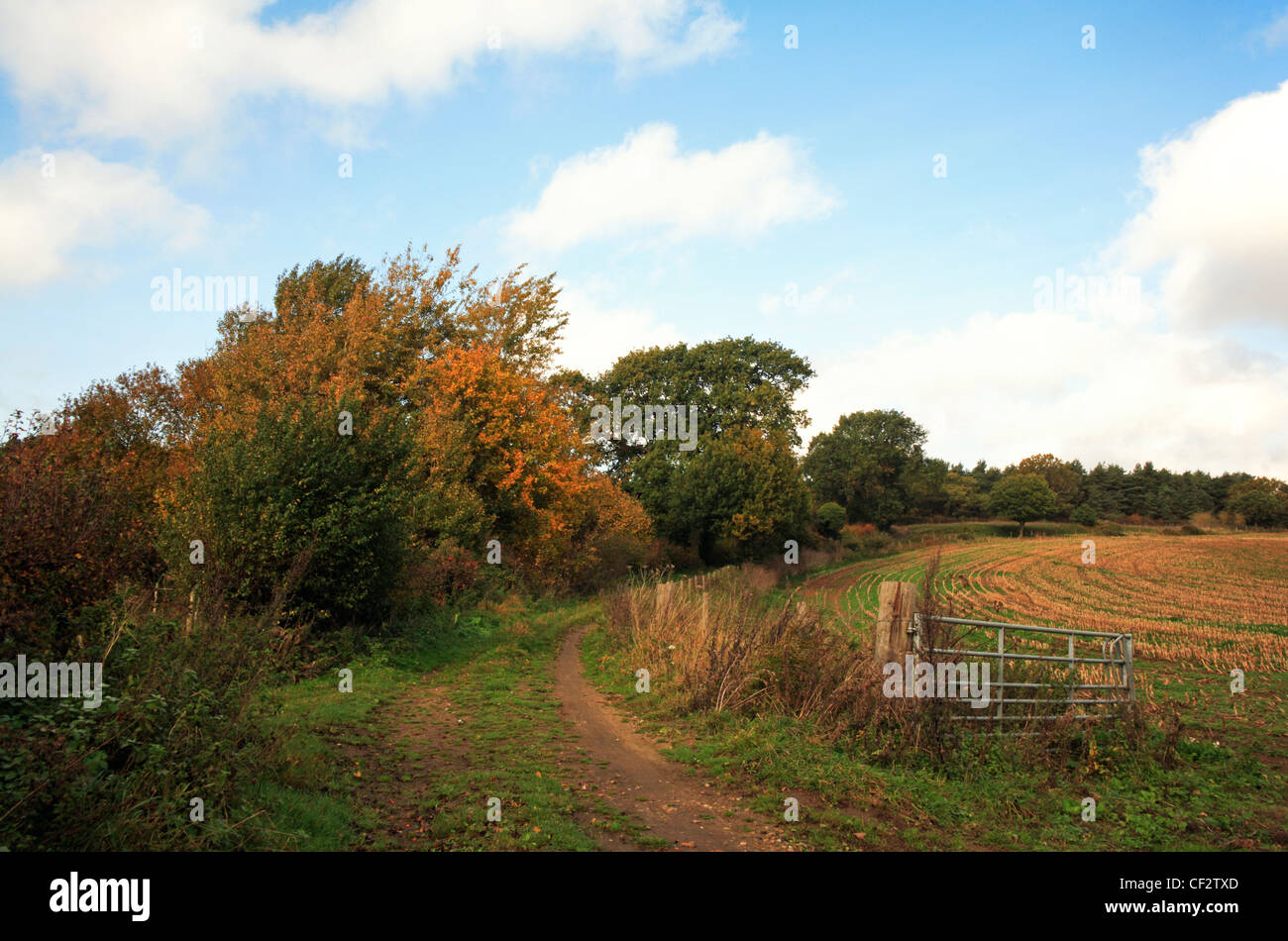 Una vista del Wherryman il modo a lunga distanza percorso in autunno a Bramerton, vicino a Norwich, Norfolk, Regno Unito. Foto Stock