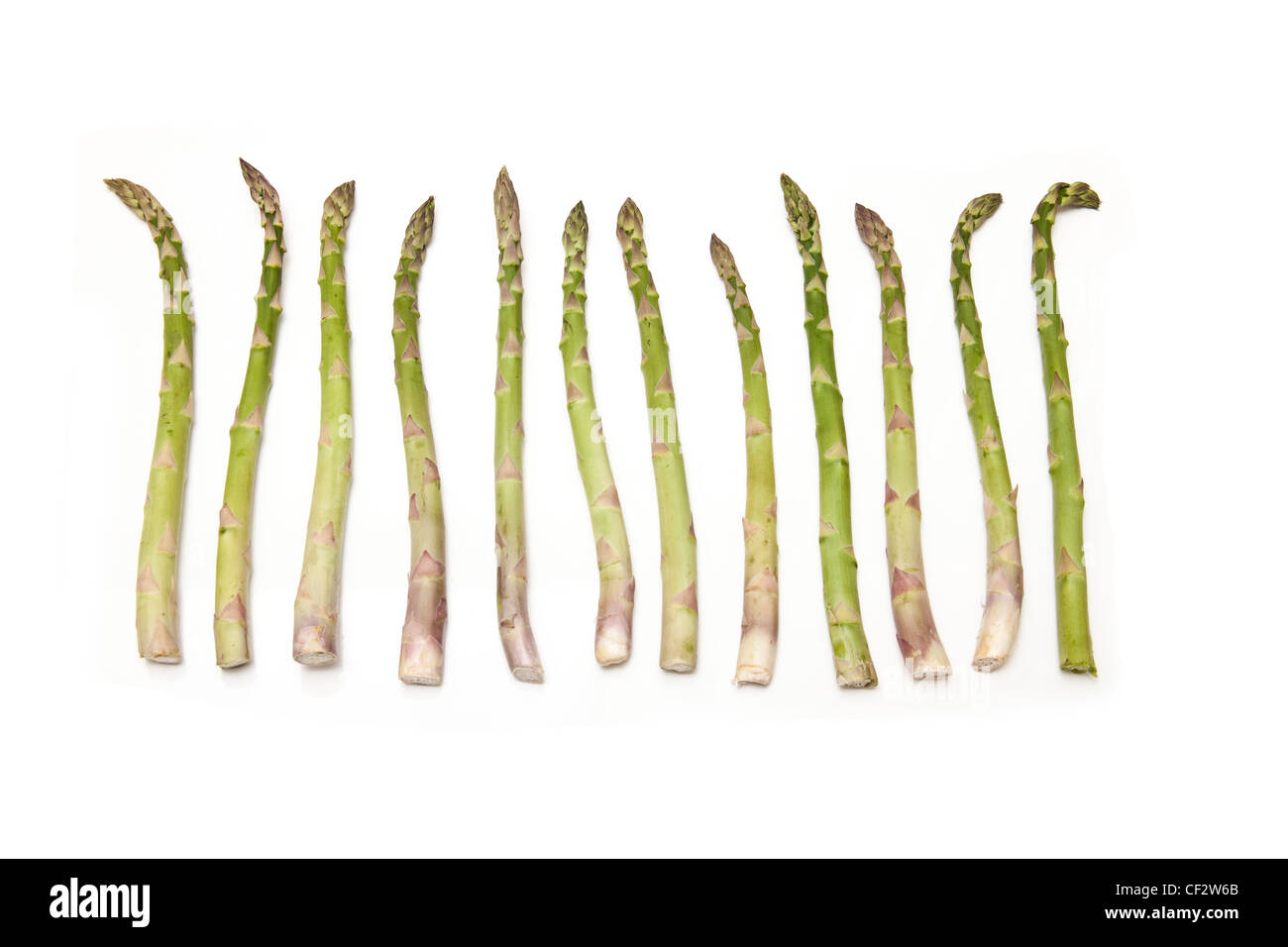 Gli asparagi spears isolato su un bianco di sfondo per studio. Foto Stock