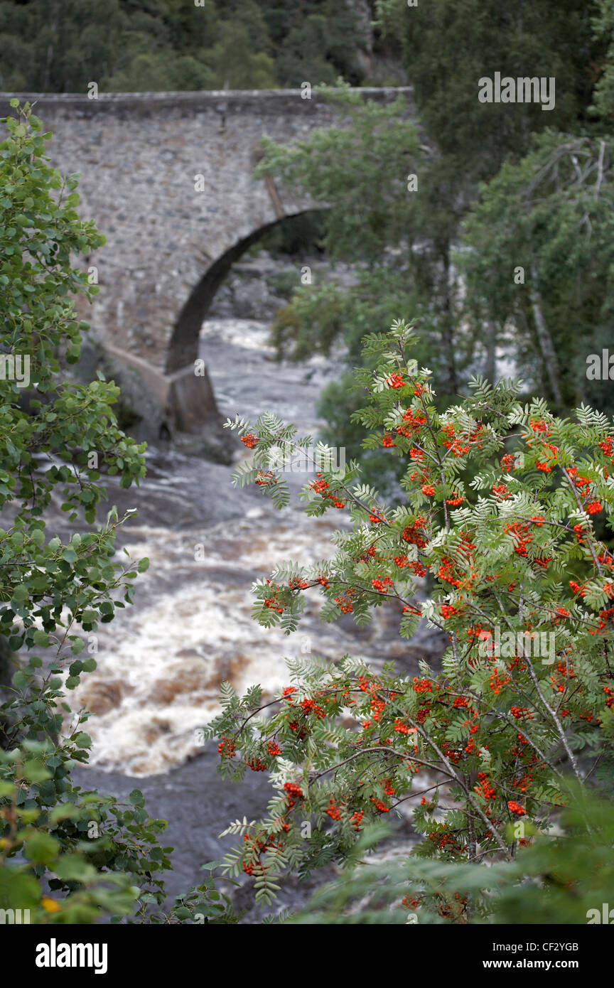 Dulcie ponte sopra il fiume Findhorn, costruita sotto la direzione del maresciallo di campo George Wade che era responsabile per la costruzione Foto Stock