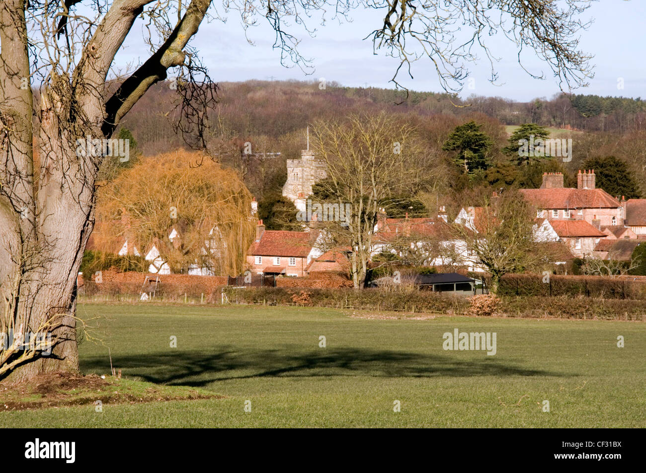 Chiltern Hills - Little Missenden - Bucks - incorniciata dagli alberi - sfondo di pendii boscosi - il sole d'inverno. Foto Stock