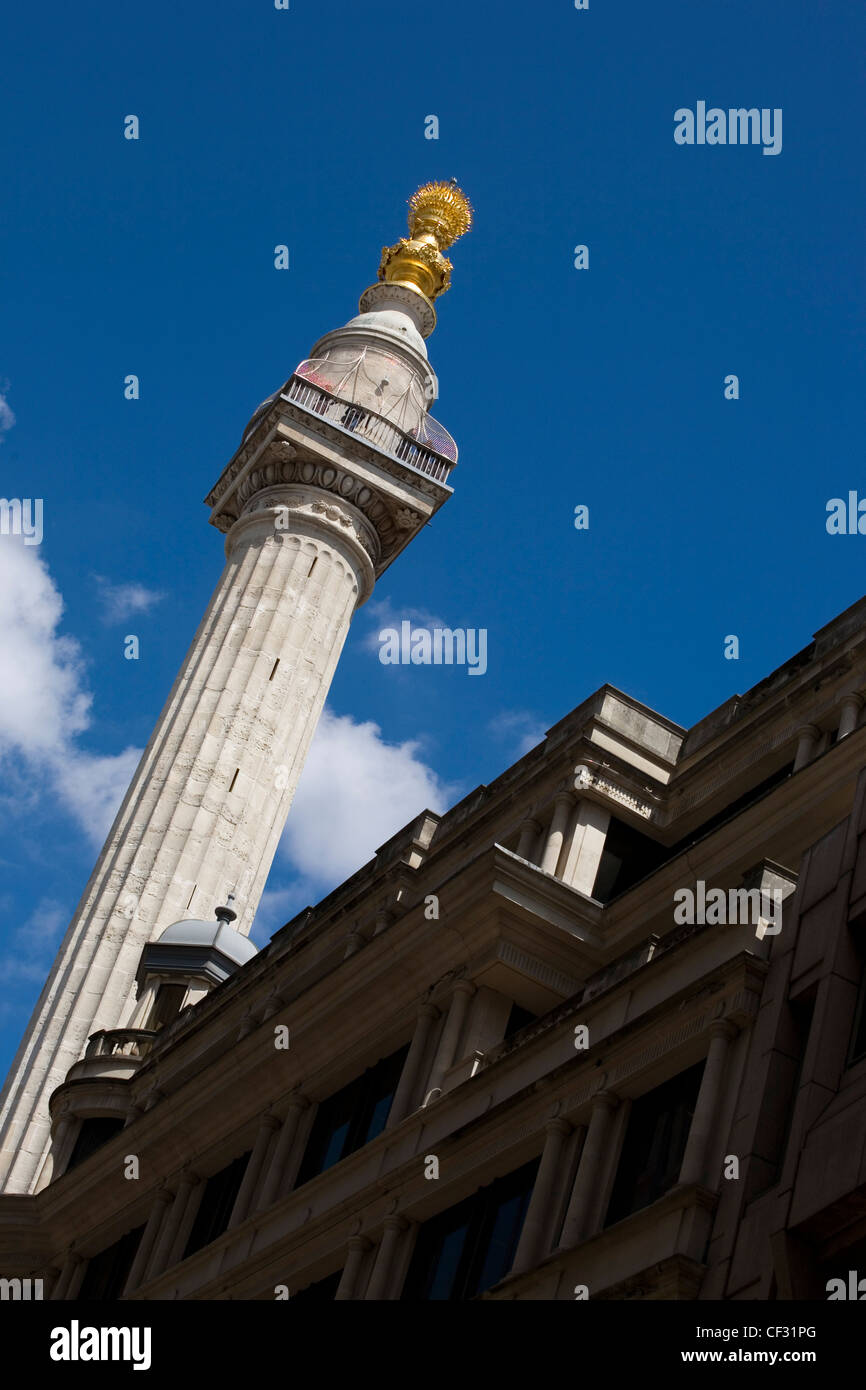 Il recentemente ristrutturato monumento della città di Londra. Il monumento è stato costruito tra il 1671 e il 1677 per commemorare il Grande Incendio di Foto Stock