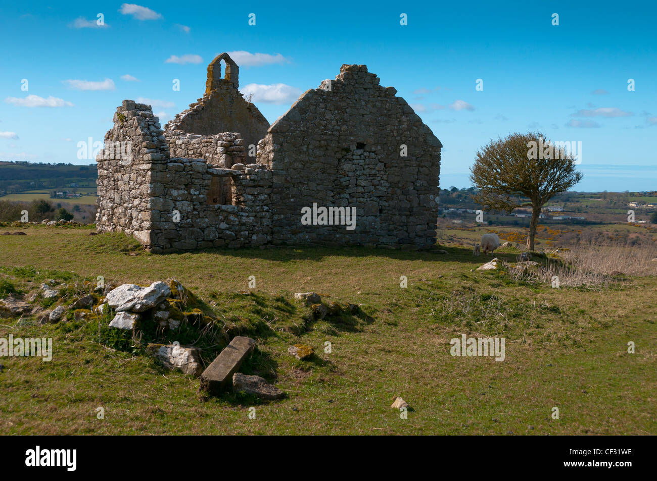 Din Lligwy vicino Moelfre. Un antico sito. Foto Stock
