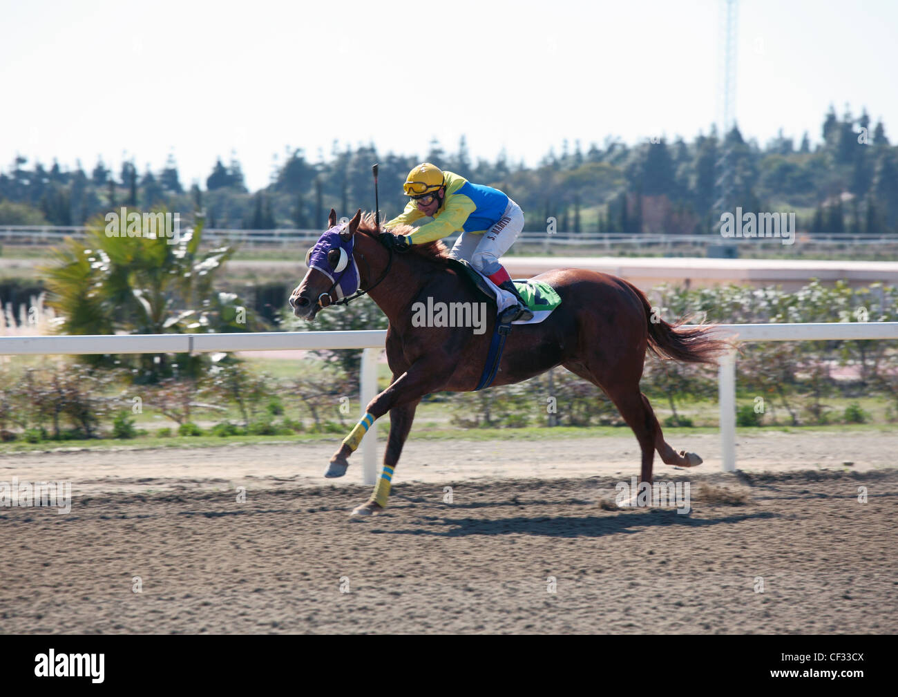 Jockey S Martin rides Lisselan Phraoah alla vittoria in gara 3 a Mijas Hipodromo Racecourse Fuengirola Costa del Sol Foto Stock