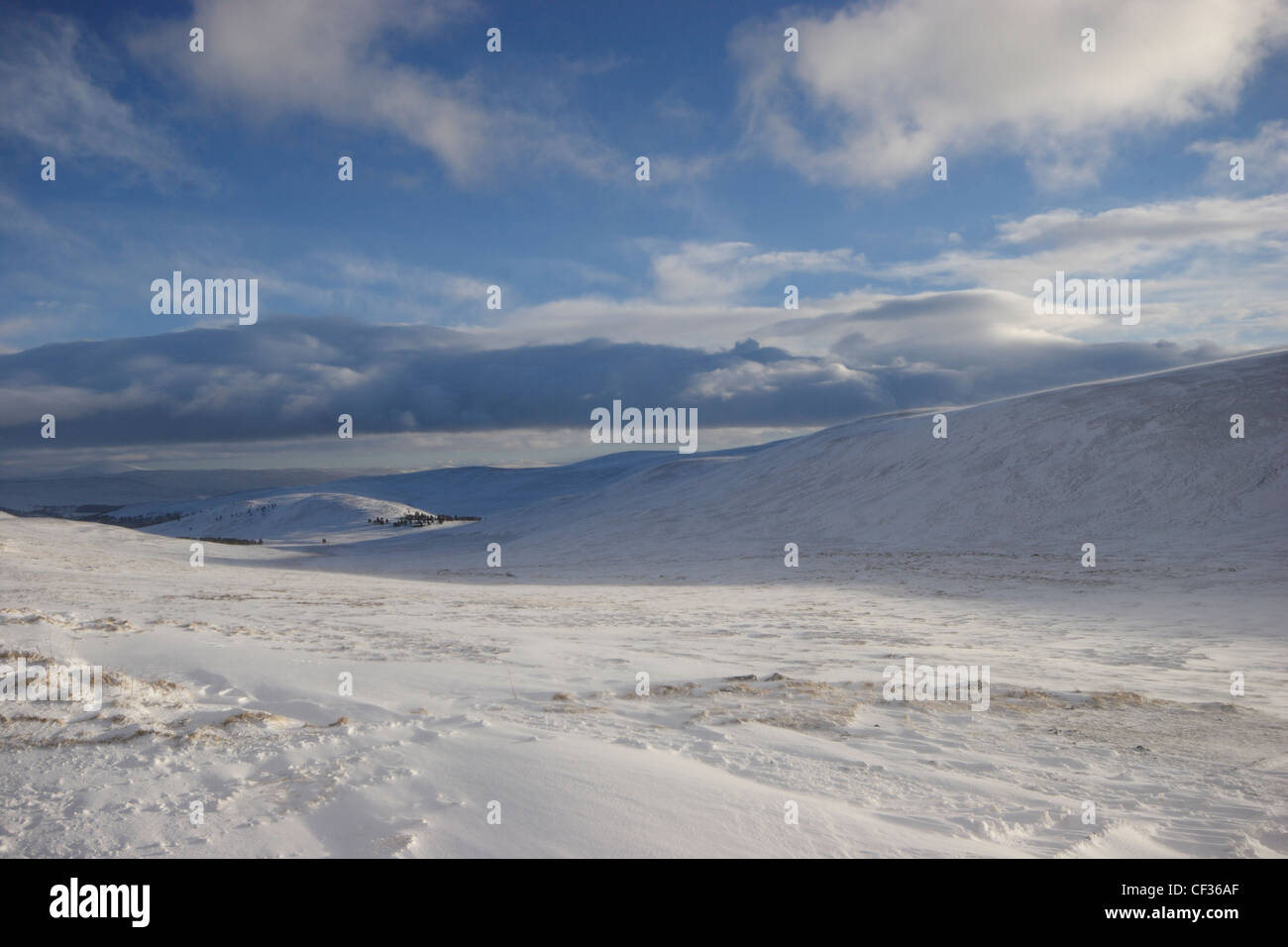 Neve sui Monti Cairngorm in Aberdeenshire. Il Cairngorms è stato realizzato un parco nazionale nel settembre 2003 e si è della Gran Bretagna larg Foto Stock