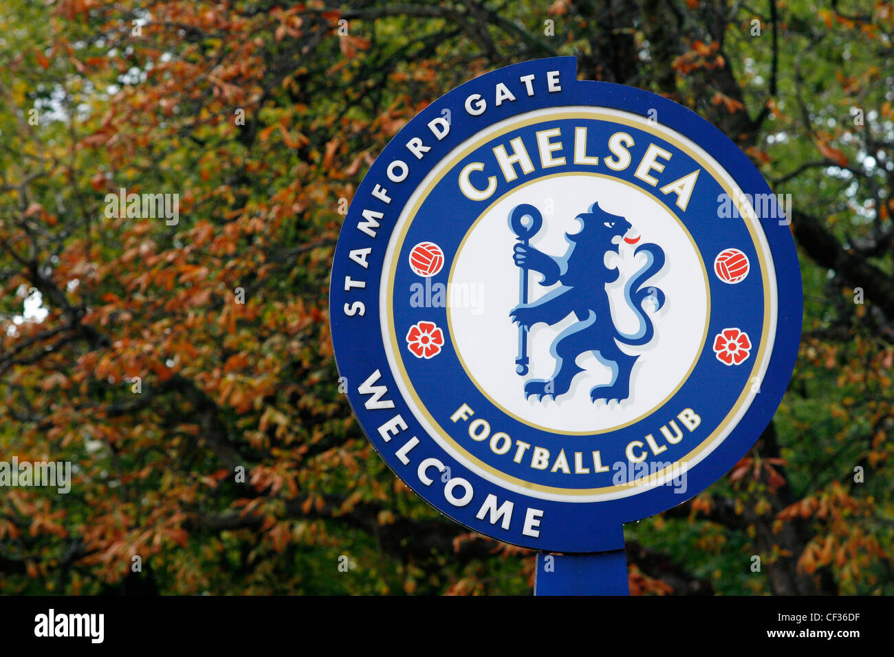 Acquista Targhetta e catena con stemma ufficiale del Chelsea FC, colore