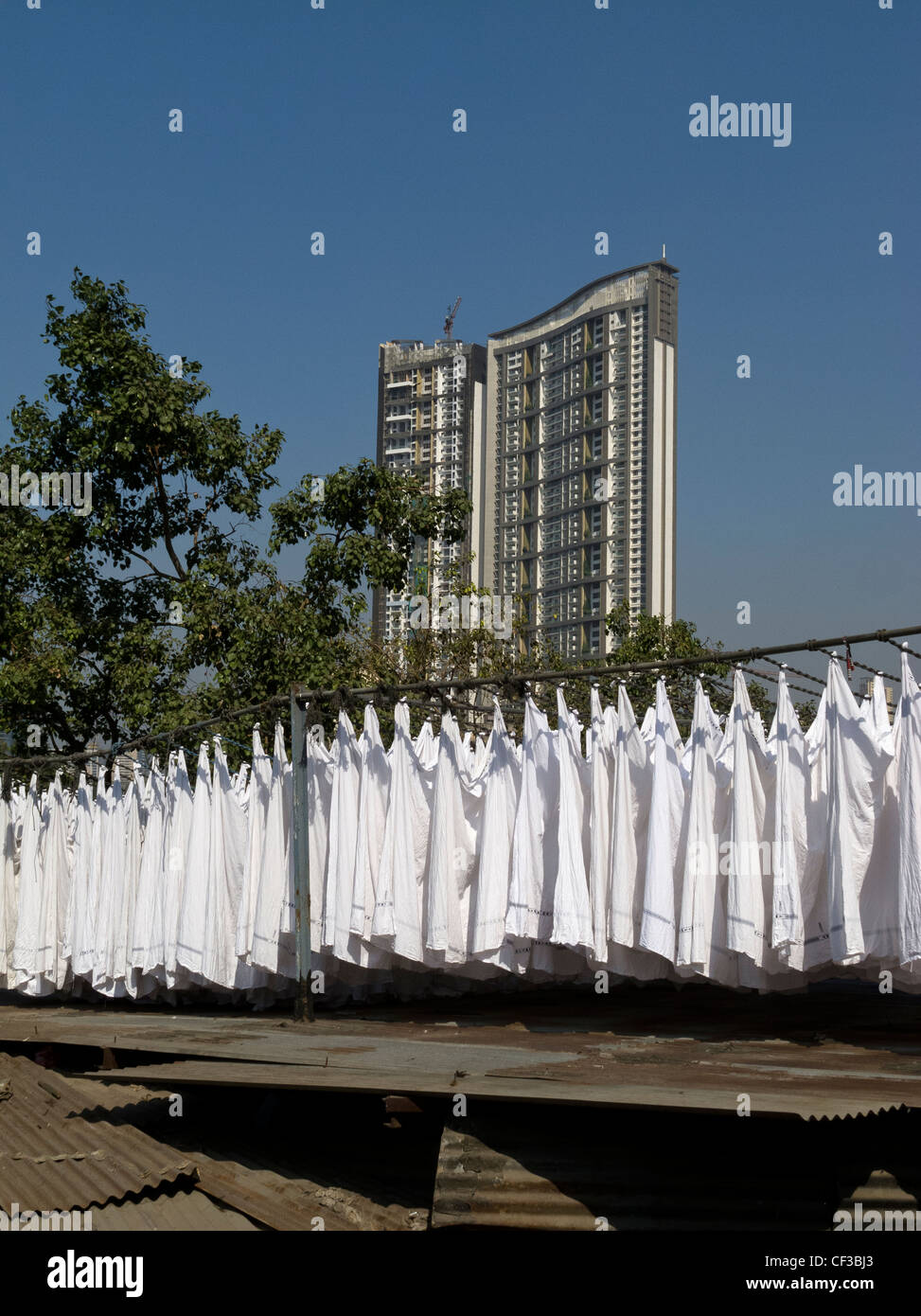 Stendibiancheria a Dhobi Ghat di Mumbai, Maharashtra, India Foto Stock