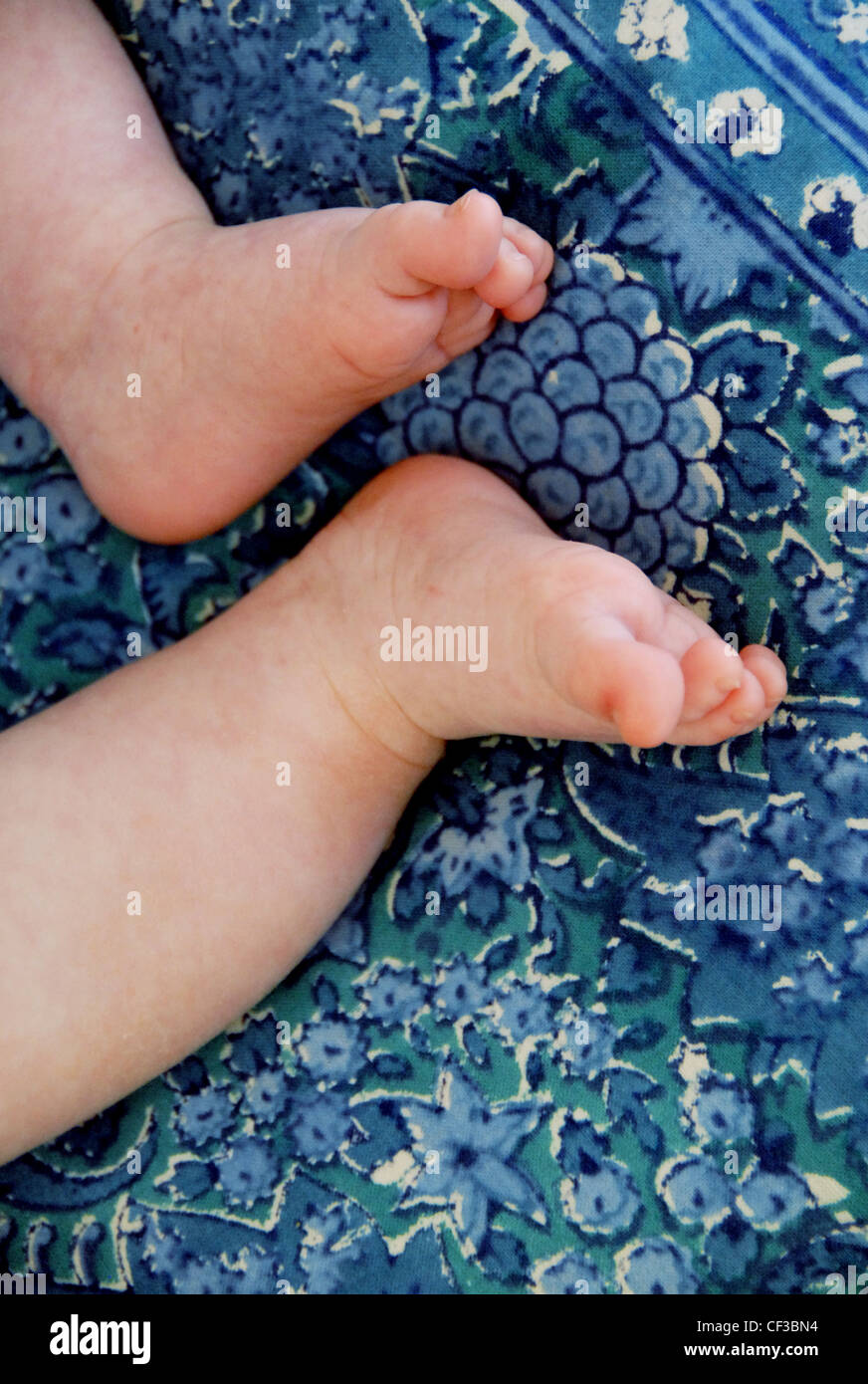 Una particolare immagine di bambino i piedi appoggiati su un cuscino blu Foto Stock