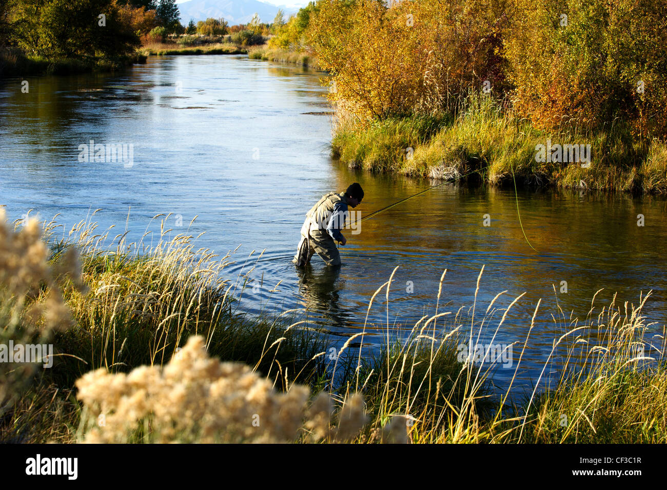 Pescatore a mosca la pesca Silver Creek Idaho su un pomeriggio di caduta Foto Stock