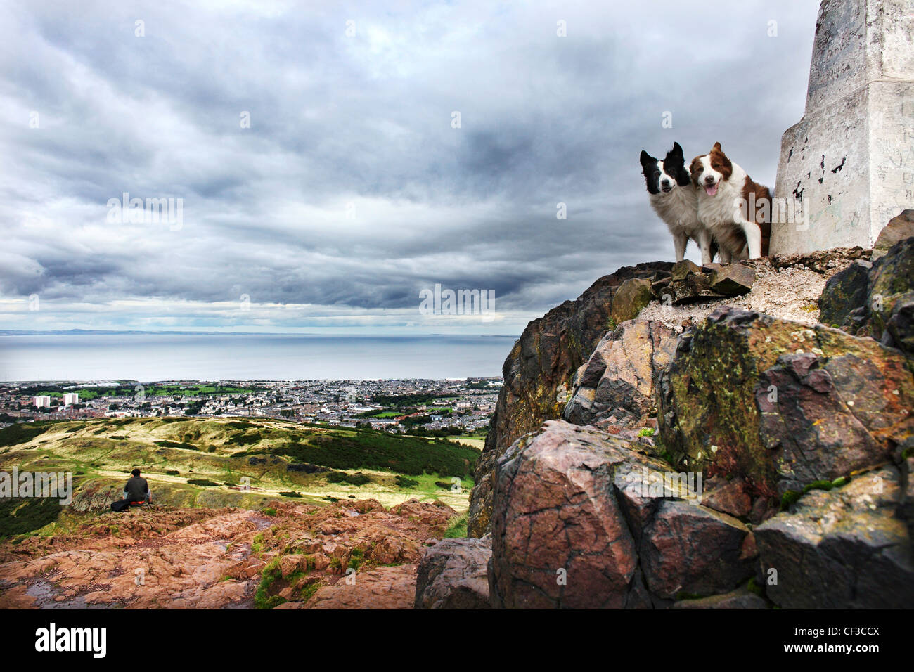 Cani sulla sommità di Arthur' Seat si affaccia Edimburgo e il Firth of Forth. Foto Stock