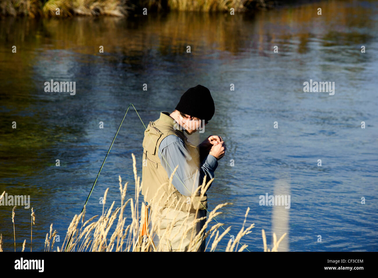 Pescatore a mosca la pesca Silver Creek Idaho su un pomeriggio di caduta Foto Stock