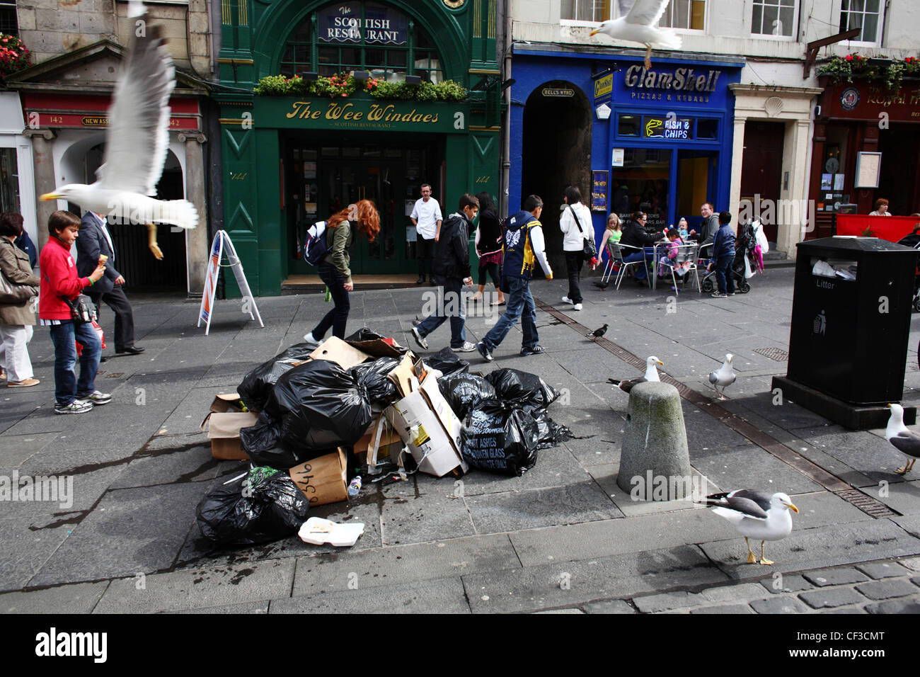 Gabbiani in cerca di cibo tra sacchi per immondizia accatastati sul Royal Mile durante un periodo di azione industriale dalla città di rifiutare Foto Stock