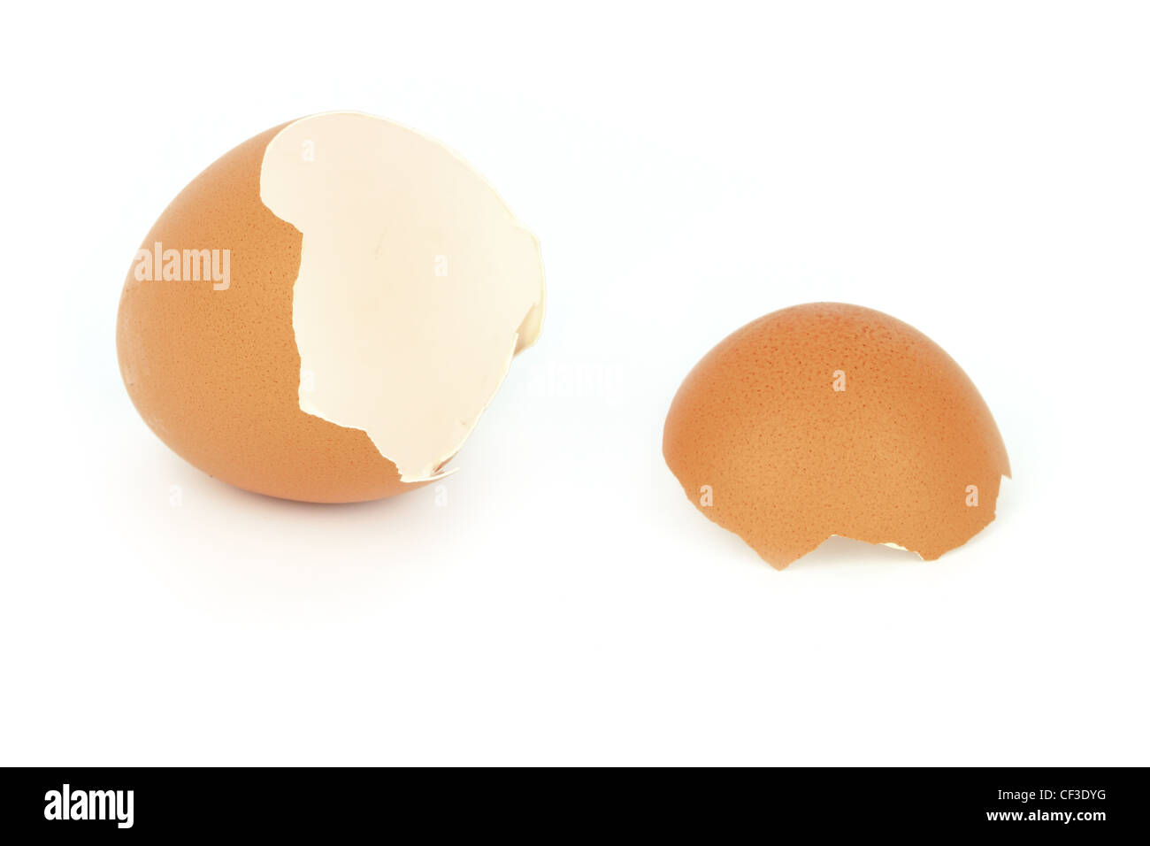 Guscio d'uovo immagini e fotografie stock ad alta risoluzione - Alamy