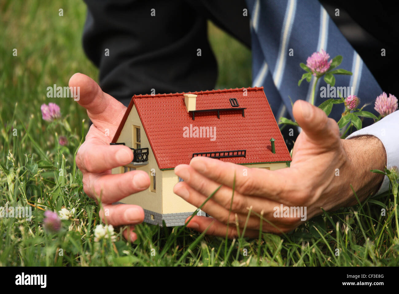Mani dell'uomo casa azienda miniatura, erba, fiori di trifoglio collage Foto Stock