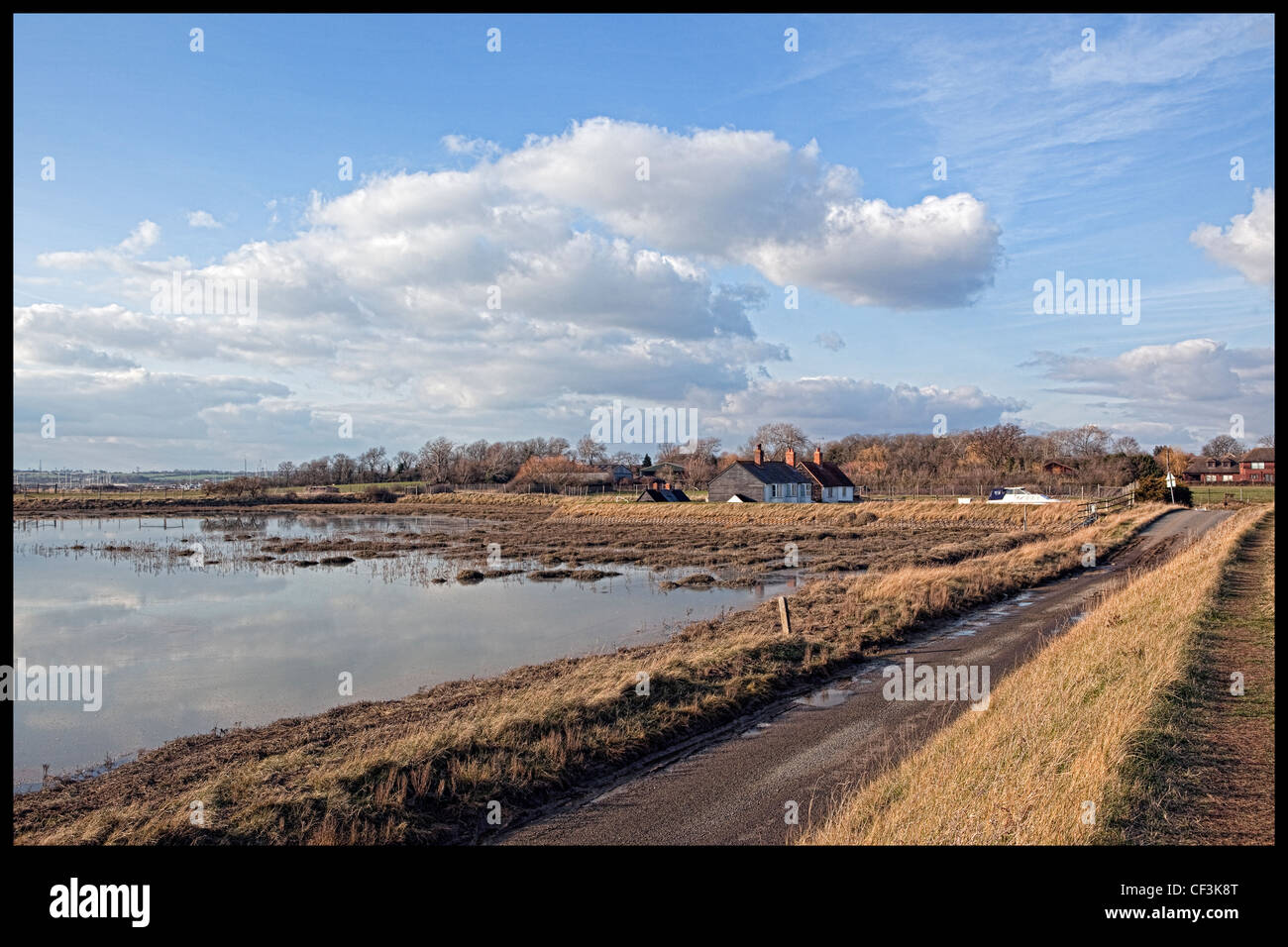 Strada stretta che conduce alla marina a nord Fambridge sul fiume Crouch Foto Stock