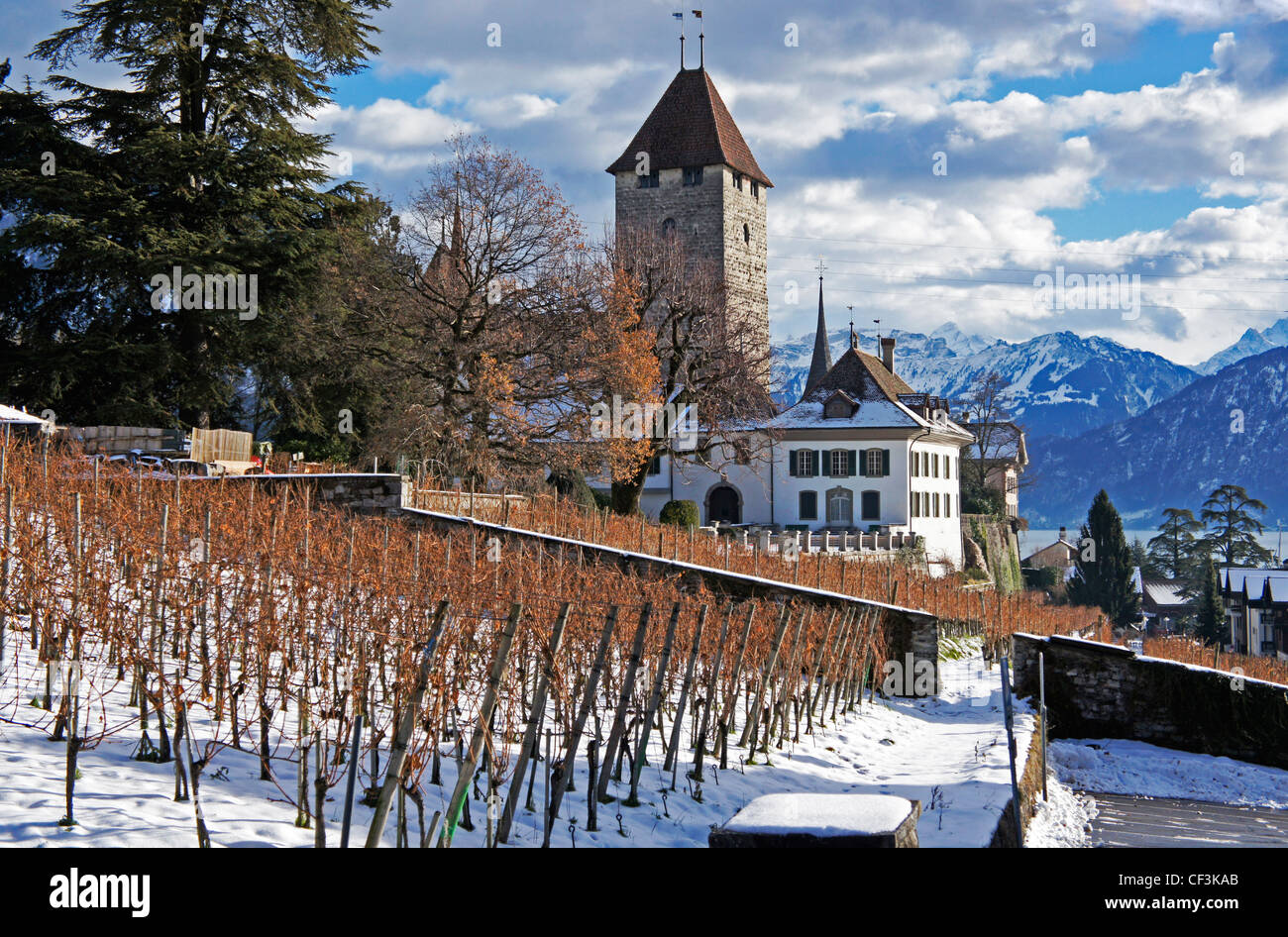 Castello Spiez e vigneto, Lago Thun, Oberland Bernese, Svizzera Foto Stock