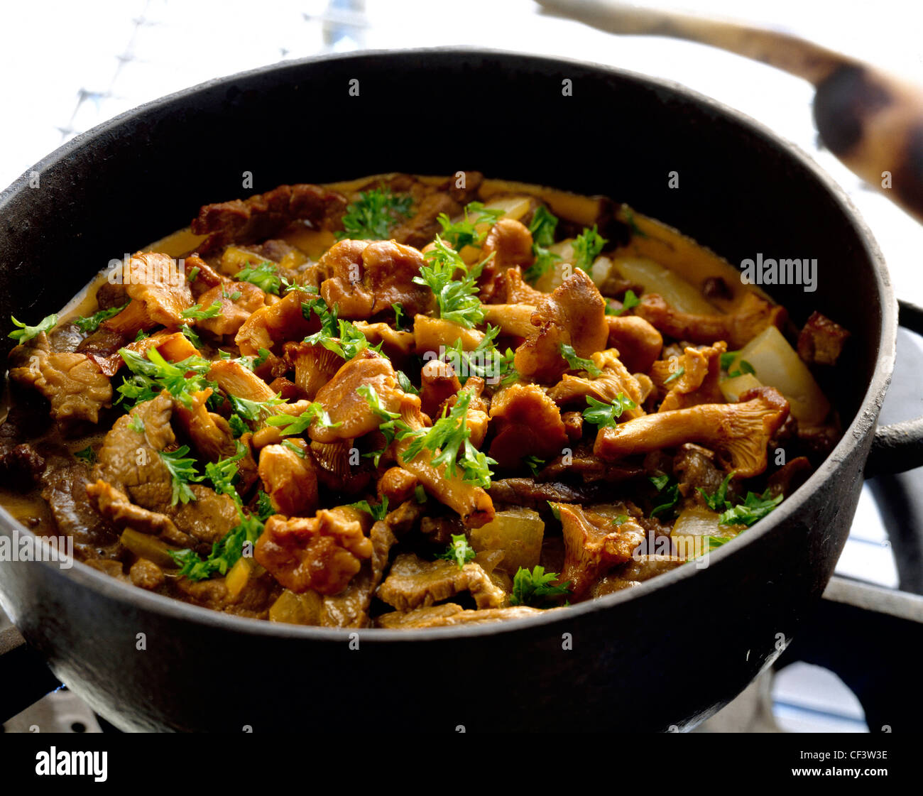 Gustoso autunno casseruole casseruola carne di selvaggina condimento, finferli, bacche di ginepro e salsa cremosa in grande nero Foto Stock