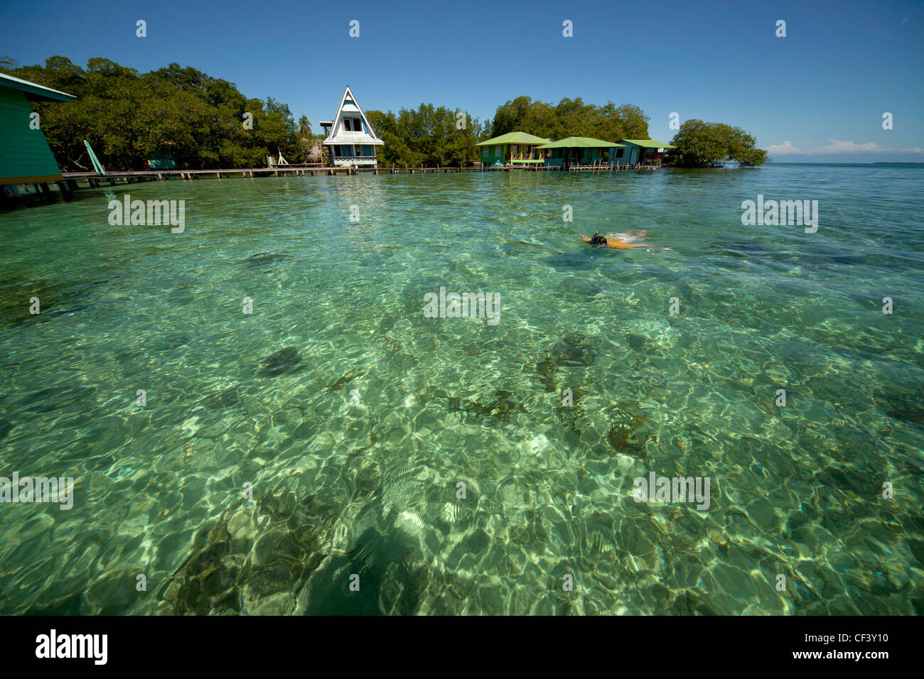 Lo snorkeling in acque chiare della piccola isola caraibica di Coral Key, Bocas del Toro, Panama America Centrale Foto Stock