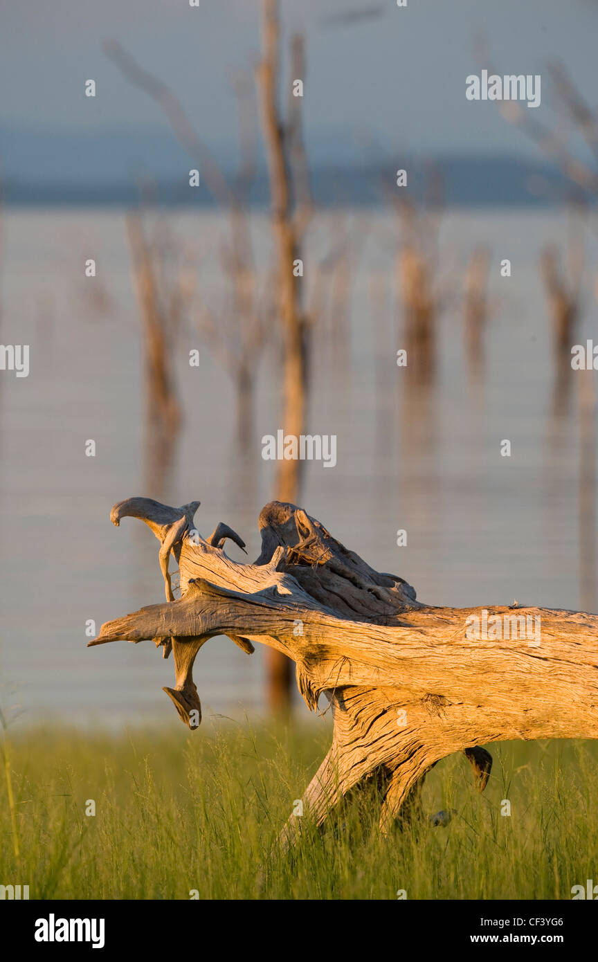 Tramonto sopra il secondo uomo più grande diga realizzata nel mondo, il lago Kariba in Zimbabwe Foto Stock