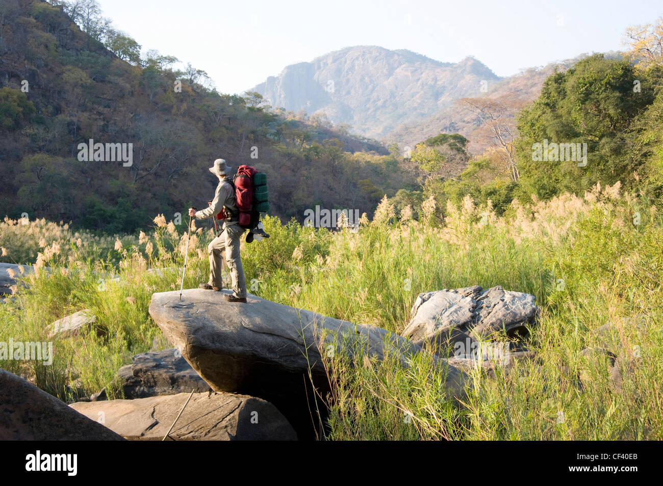 Un escursionista sorge in un fiume in Zimbabwe Mavhuradona del Parco Nazionale Foto Stock Un escursionista sorge in un fiume in Zimbabwe Mavhuradona del Parco Nazionale Foto Stock