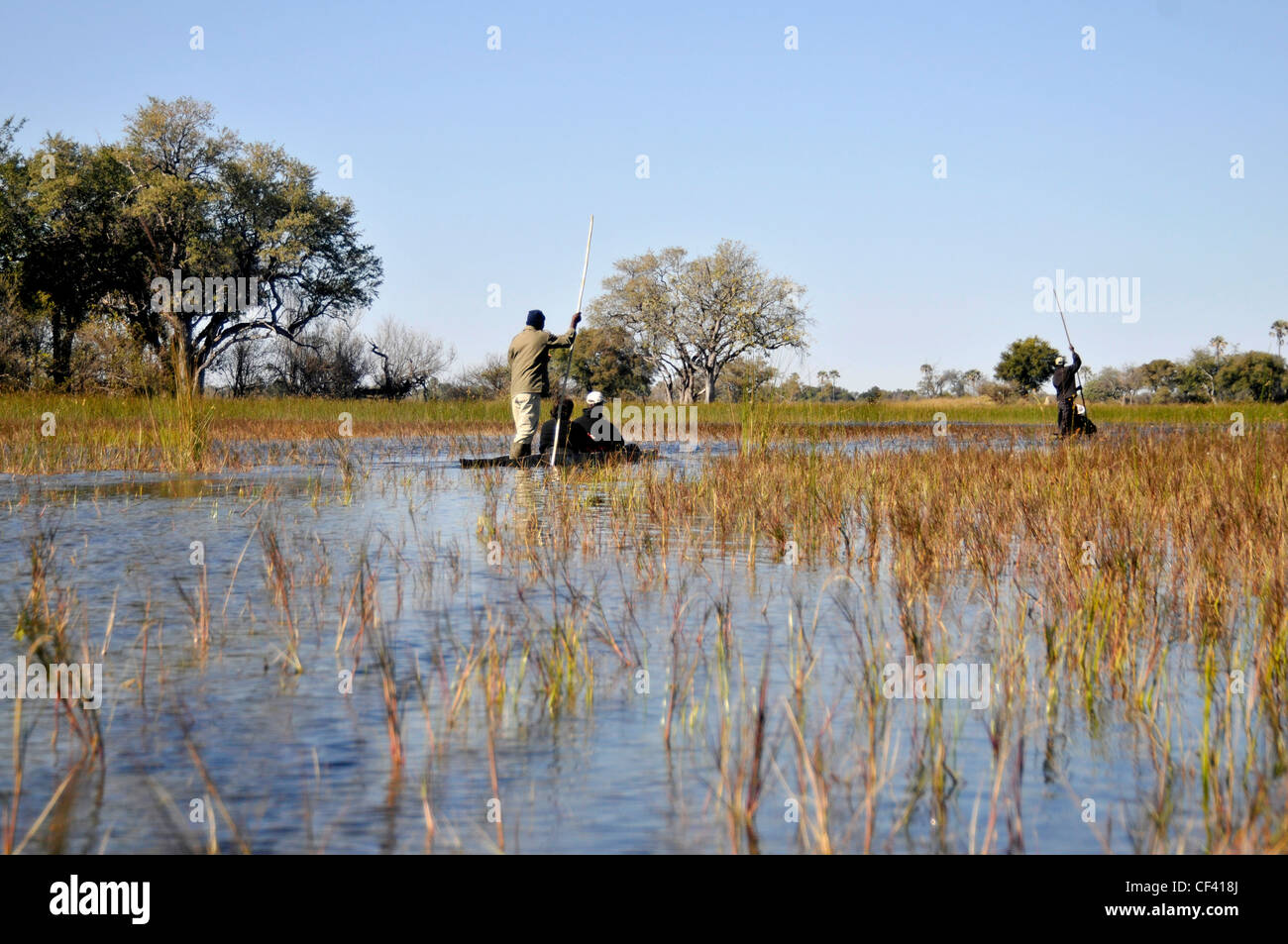 Makoro sull'Okavango Delta Foto Stock