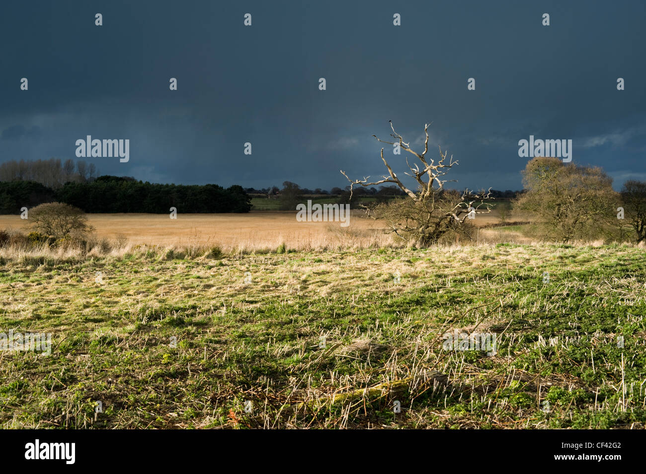 Nuvole temporalesche raccolta appena fuori Southwold sulla costa del patrimonio. Foto Stock