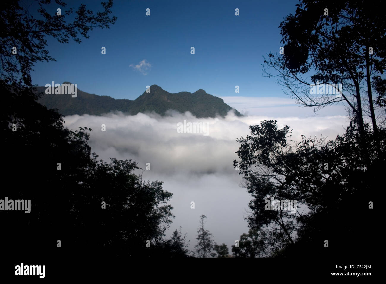 La nebbia aleggia al di sotto di un picco di montagna in El Triunfo Riserva della Biosfera in Sierra Madre mountains, Chiapas, Messico. Foto Stock