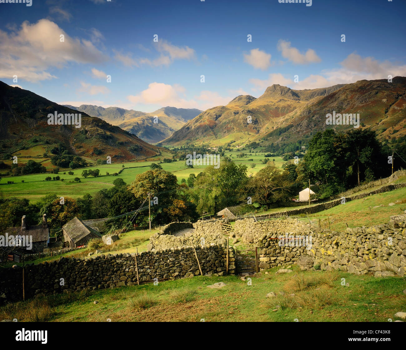 Vista sulla valle Langdale verso Langdale Pikes nel distretto del lago. Foto Stock