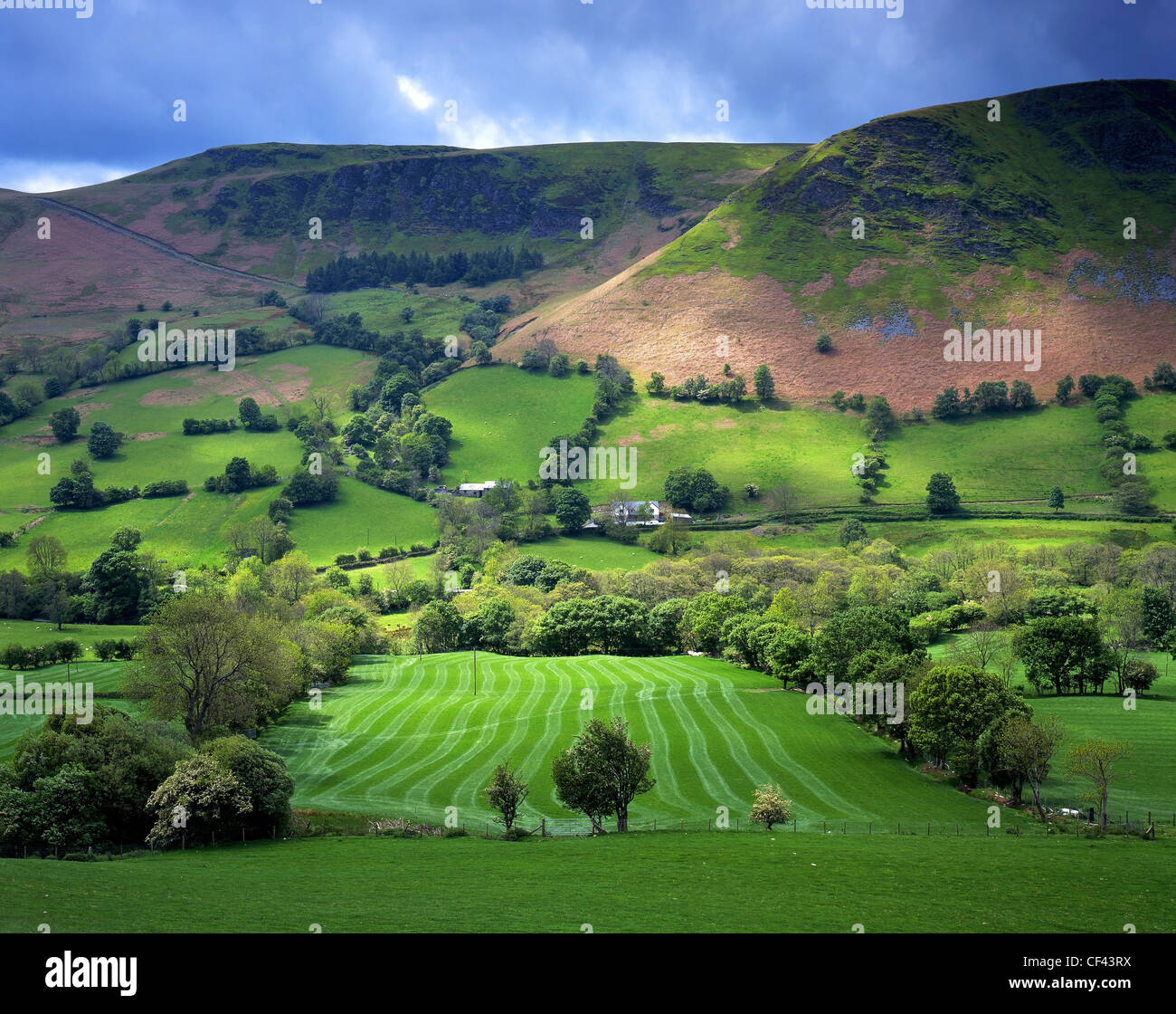 Guardando attraverso un lussureggiante valle fertile su un giorno d'estate in Galles Centrale. Foto Stock