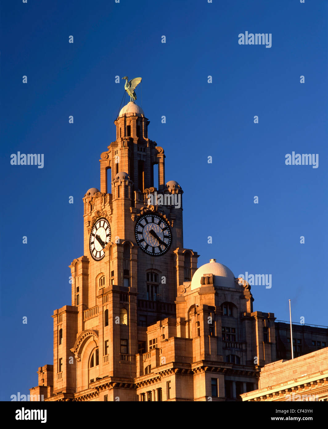 La parte superiore del Royal Liver Building, uno di Inghilterra del più riconoscibili punti e una caratteristica prominente del Liverpool acqua Foto Stock