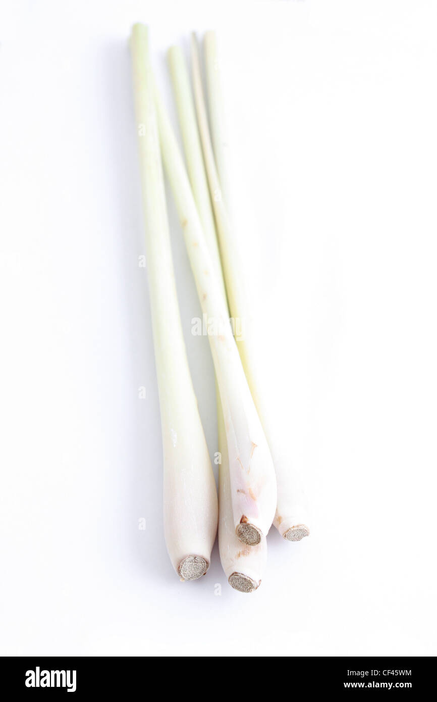 La citronella isolato su un bianco bg Foto Stock La citronella isolato su un bianco bg Foto Stock