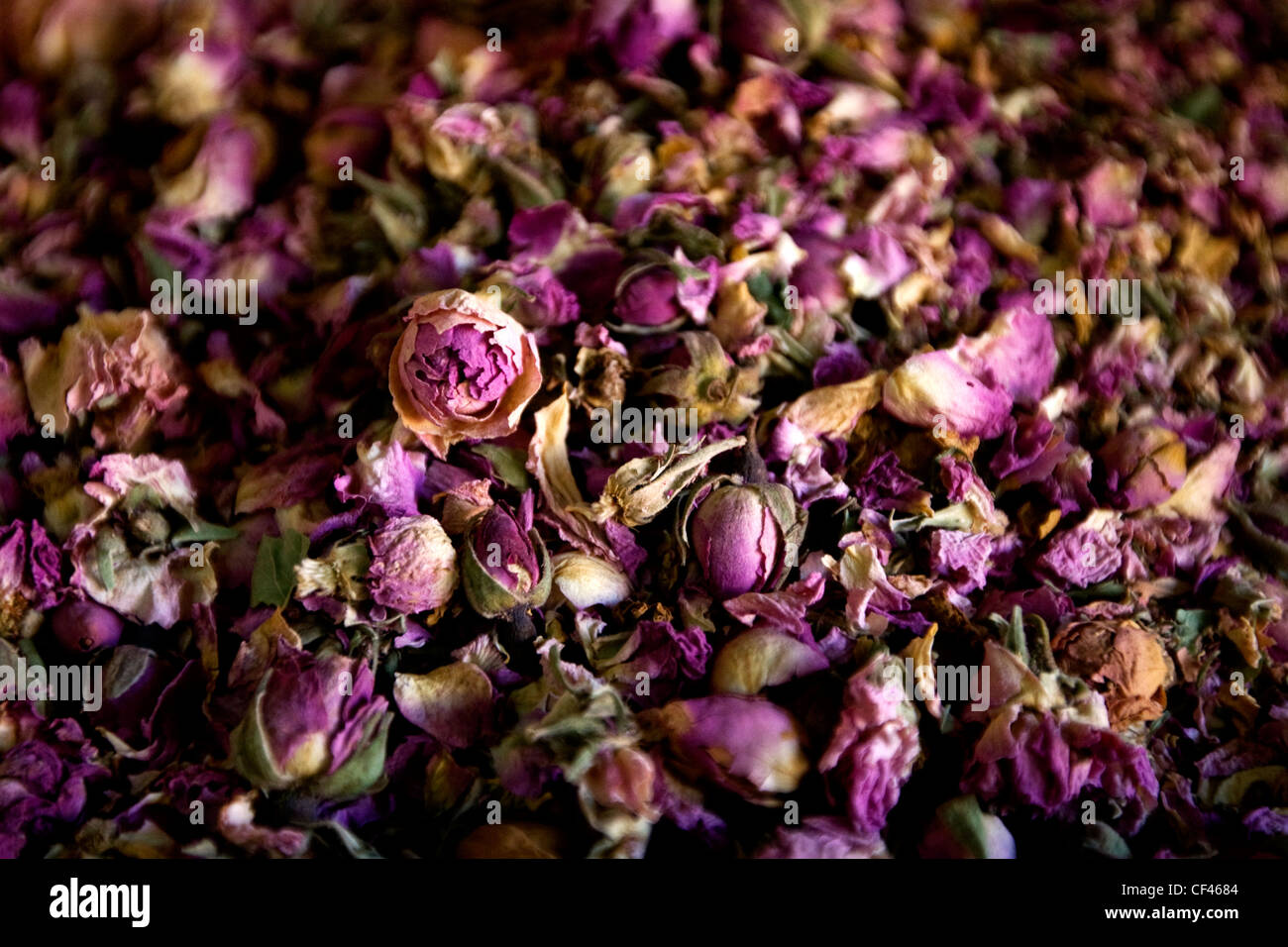 Close up essiccati Fiori di colore rosso sul display al di fuori di un negozio di Djemaa el Fna mercato in Marrakech Marocco Foto Stock