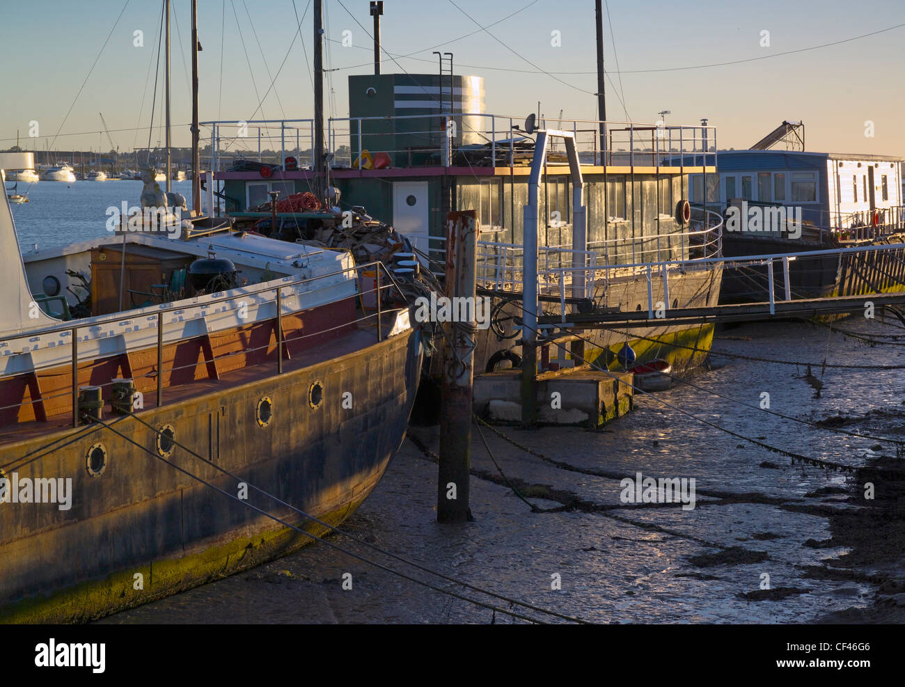 Chiatte convertite in case galleggianti a Burnham on Crouch. Foto Stock