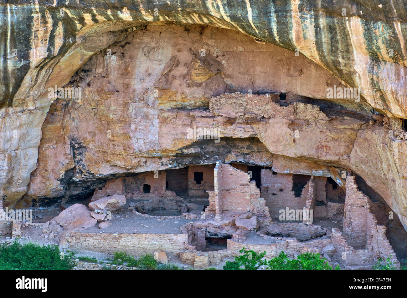 Oak Tree House nell'alcova a Chaplin Mesa, vista da Mesa Top Loop, Mesa Verde National Park, COLORADO, Stati Uniti d'America Foto Stock