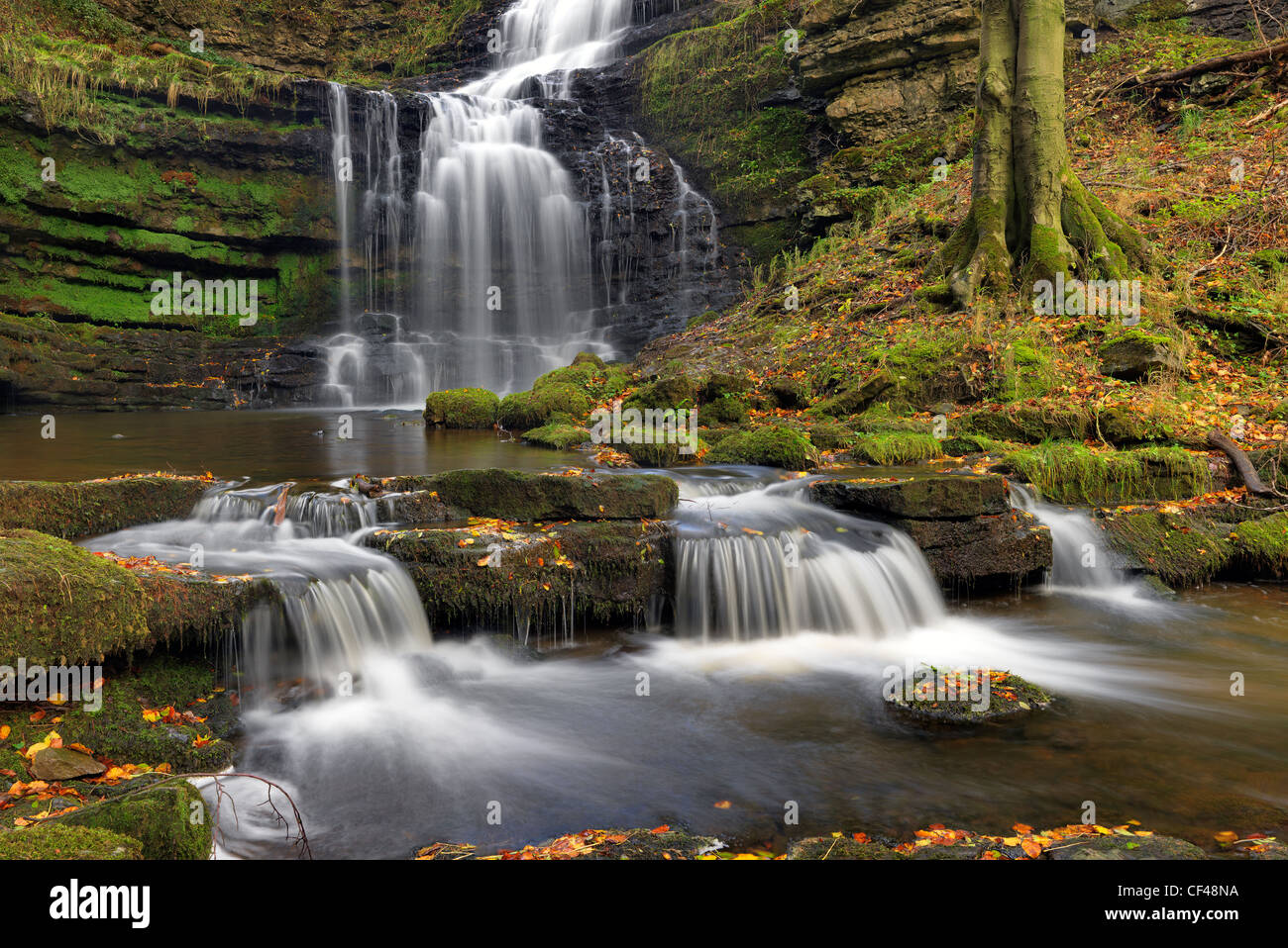 Forza Scaleber, un affascinante cascata sul Scaleber beck in Stockdale. Foto Stock