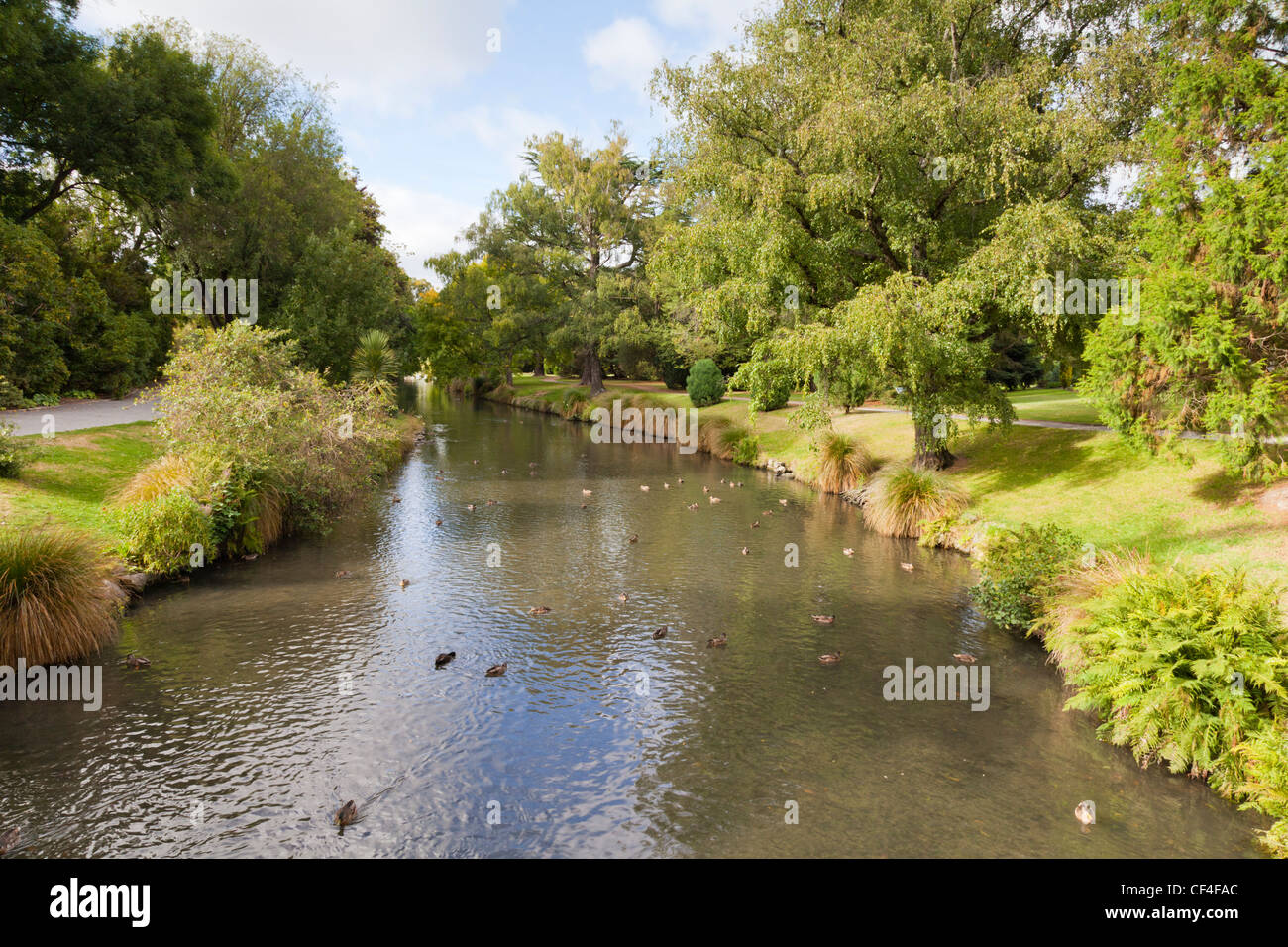 Il fiume Avon che corre attraverso Christchurch Botanic Gardens, Hagley Park, Christchurch, Nuova Zelanda. Foto Stock