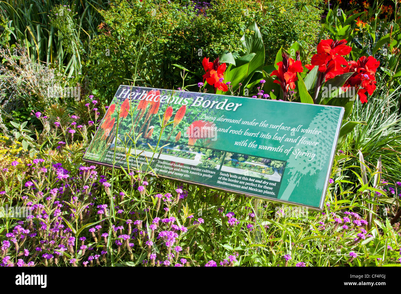 Il confine erbacee in Hagley Park, Christchurch, Nuova Zelanda, a fine estate, con segno. Foto Stock