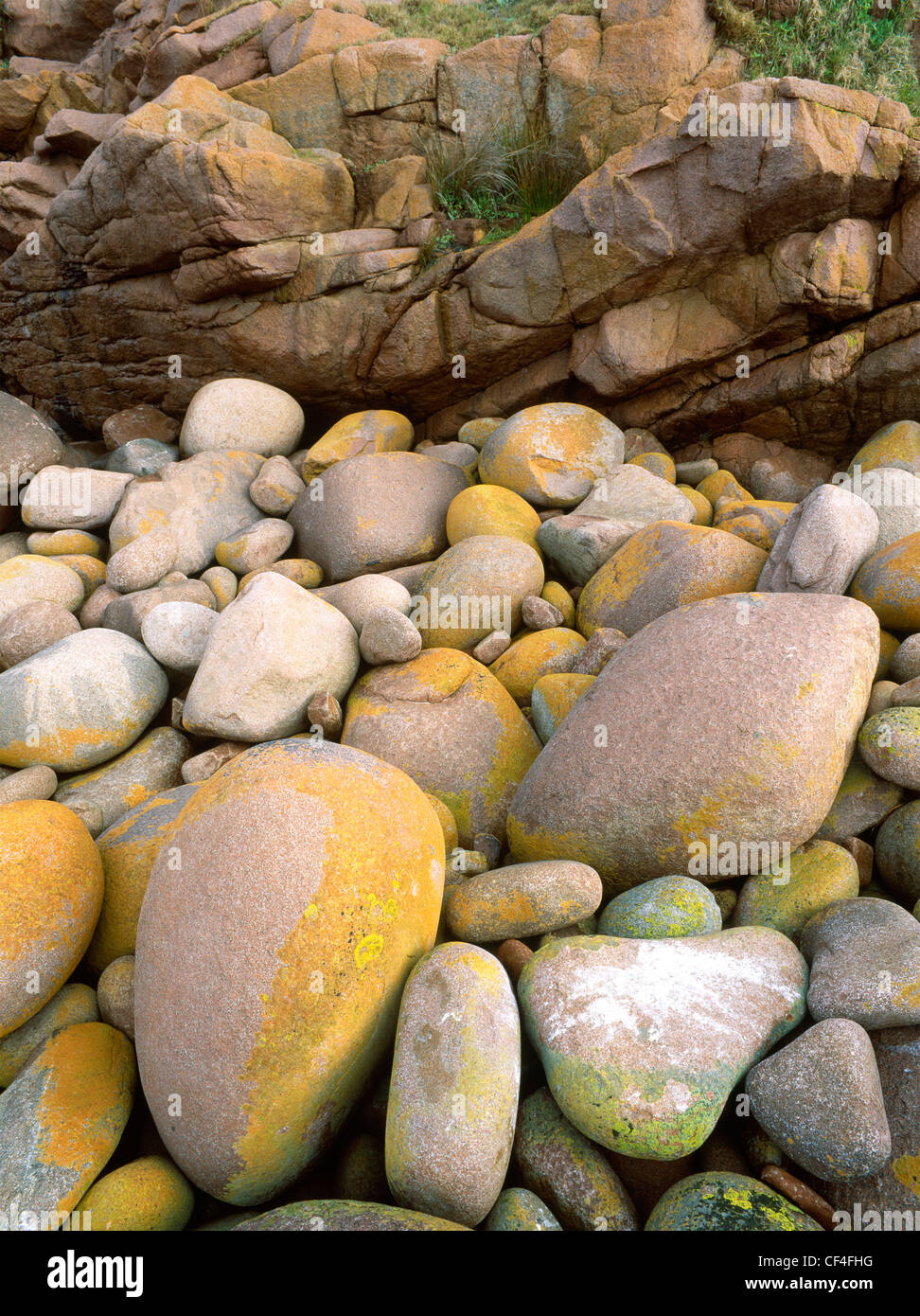Massi sulla spiaggia rocciosa a Gabo Island, Victoria, Australia Foto Stock
