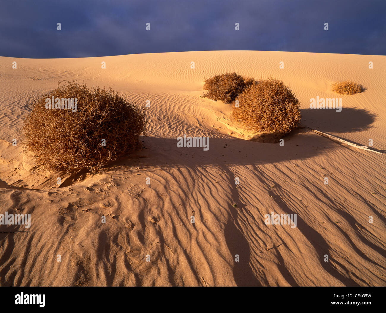 Dune di sabbia e di avvicinamento di tempesta in Mungo National Park, New South Wales, Australia Foto Stock