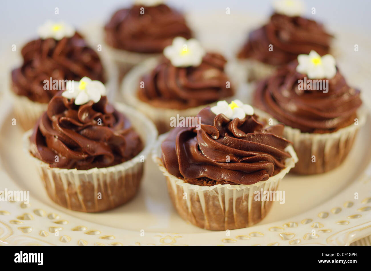 Tortini di cioccolato con panna chololate Foto Stock