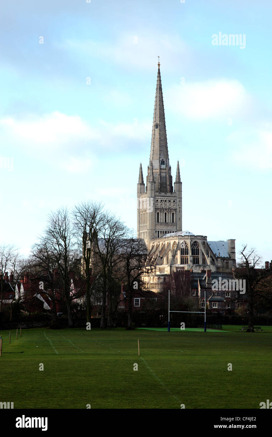 Una vista di Norwich Cathedral da attraverso i campi da gioco. Foto Stock