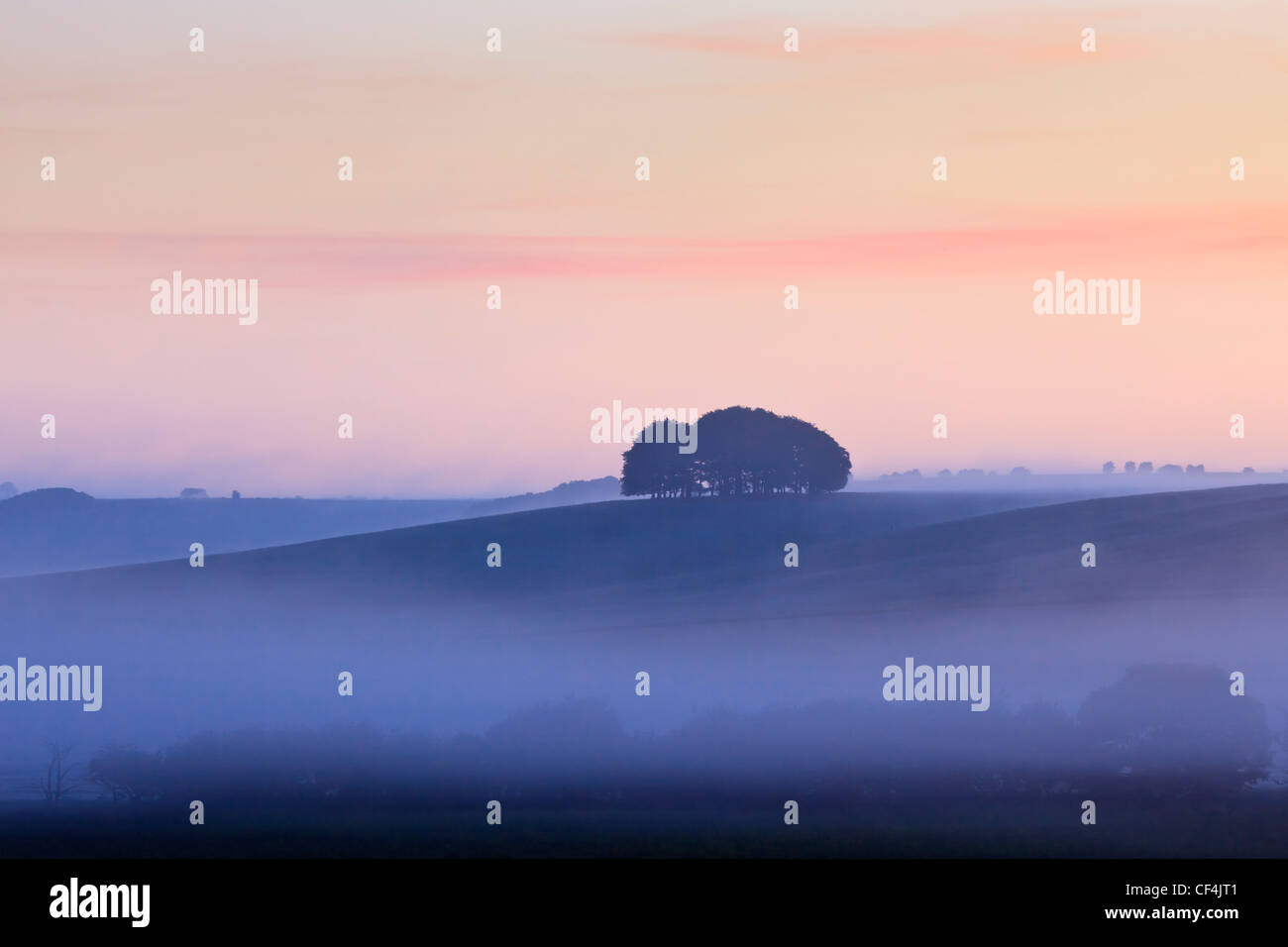 Nebbia di mattina delle colline nei pressi di Avebury. Foto Stock