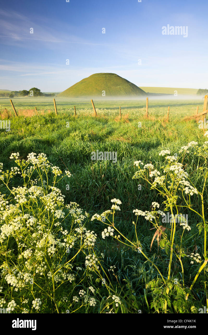 Silbury Hill, artificialmente un tumulo di gesso, il più alto preistoria umana fatta a tumulo in Europa, su una mattina d'estate con cow pars Foto Stock
