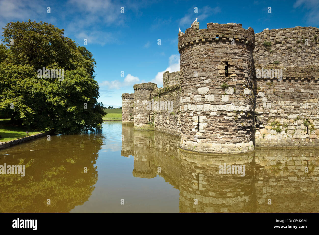 La cortina esterna parete e fossato del Beaumaris Castle, l'ultima e più grande dei castelli per essere costruito da re Edoardo I in Galles. Foto Stock