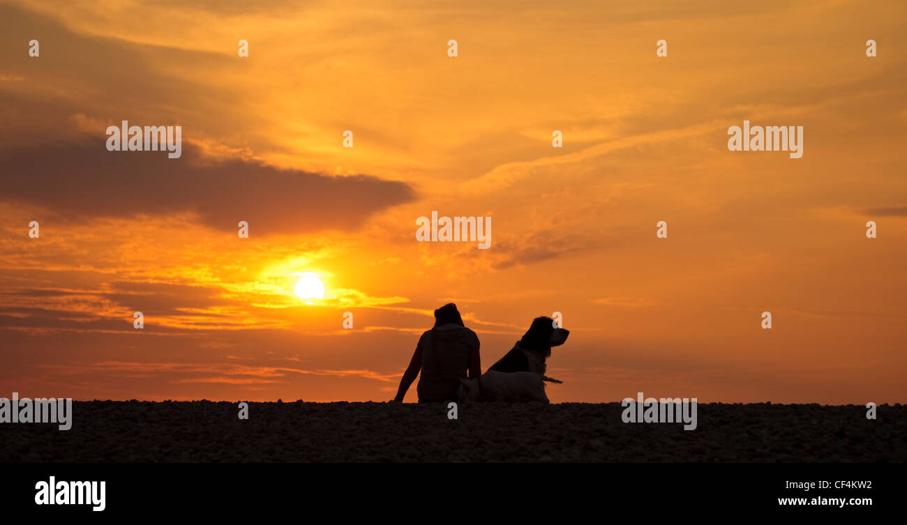 La silhouette di una donna seduta con i suoi cani sulla spiaggia al tramonto del sole. Foto Stock