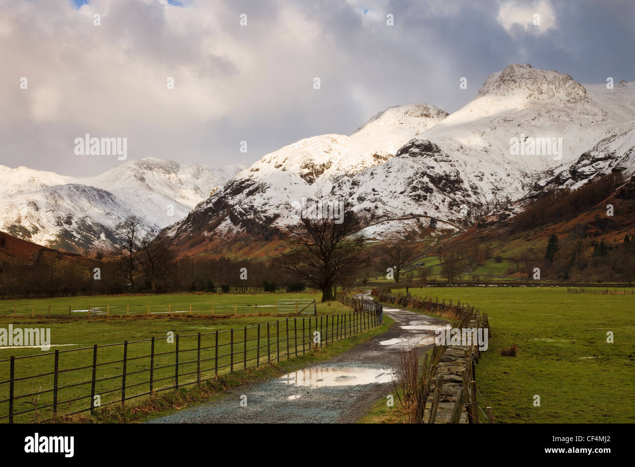 Pozze di acqua in una fattoria la via che conduce verso la coperta di neve Langdale Pikes. Foto Stock